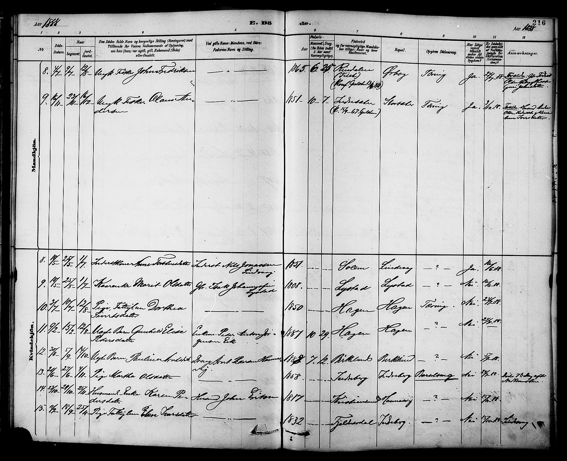 Ministerialprotokoller, klokkerbøker og fødselsregistre - Møre og Romsdal, AV/SAT-A-1454/577/L0896: Parish register (official) no. 577A03, 1880-1898, p. 216