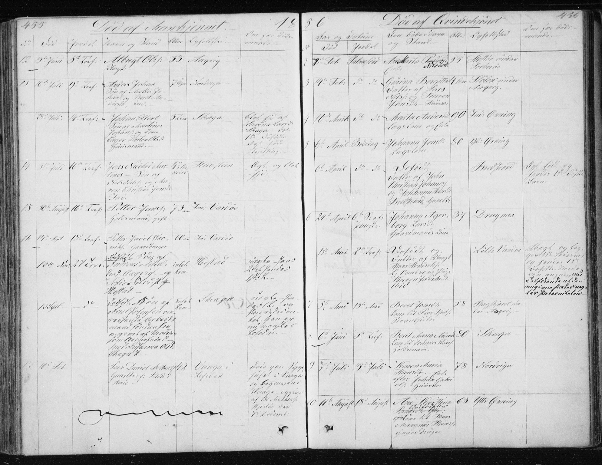 Ministerialprotokoller, klokkerbøker og fødselsregistre - Nordland, AV/SAT-A-1459/834/L0511: Parish register (copy) no. 834C02, 1848-1862, p. 455-456