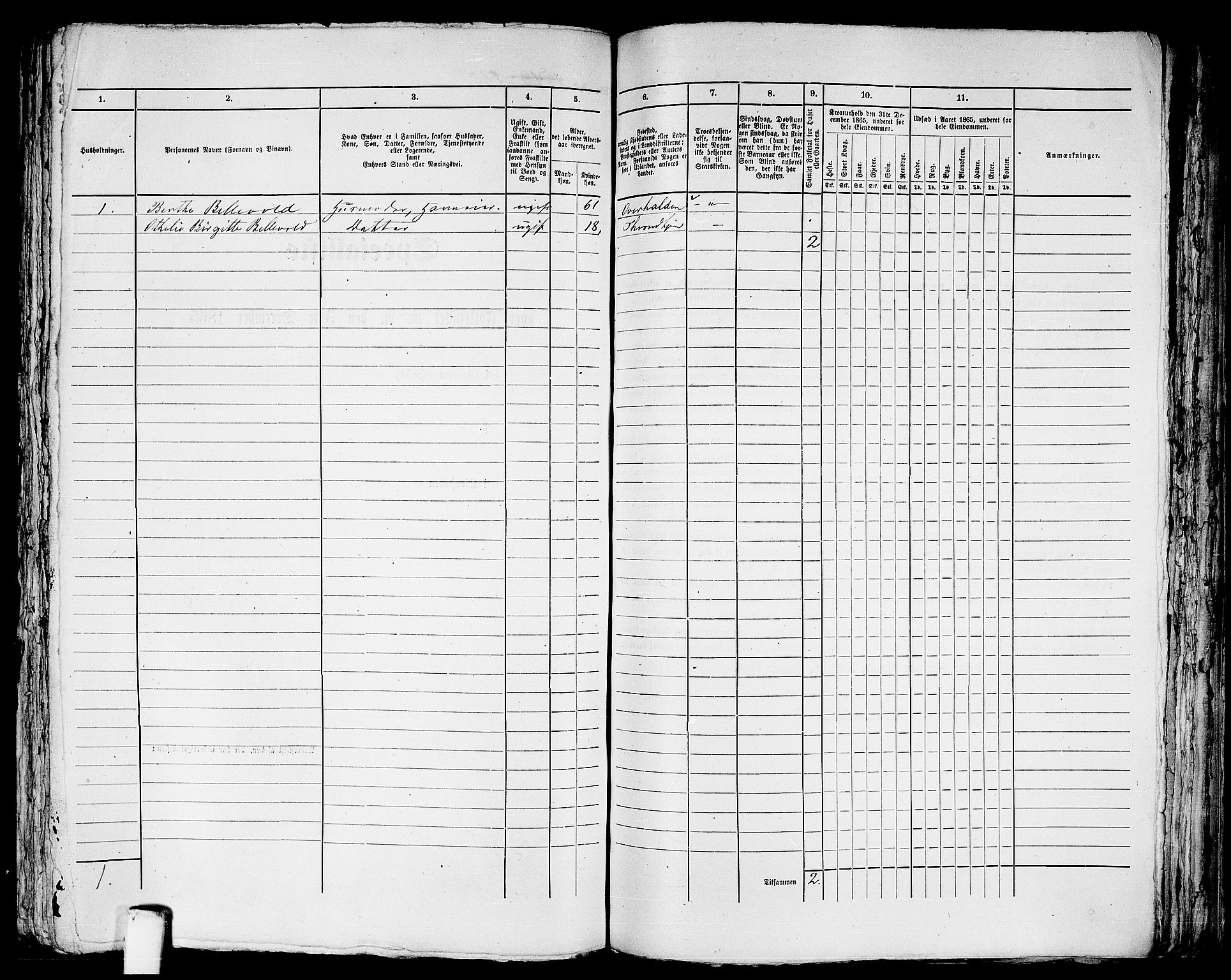 RA, 1865 census for Trondheim, 1865, p. 1914