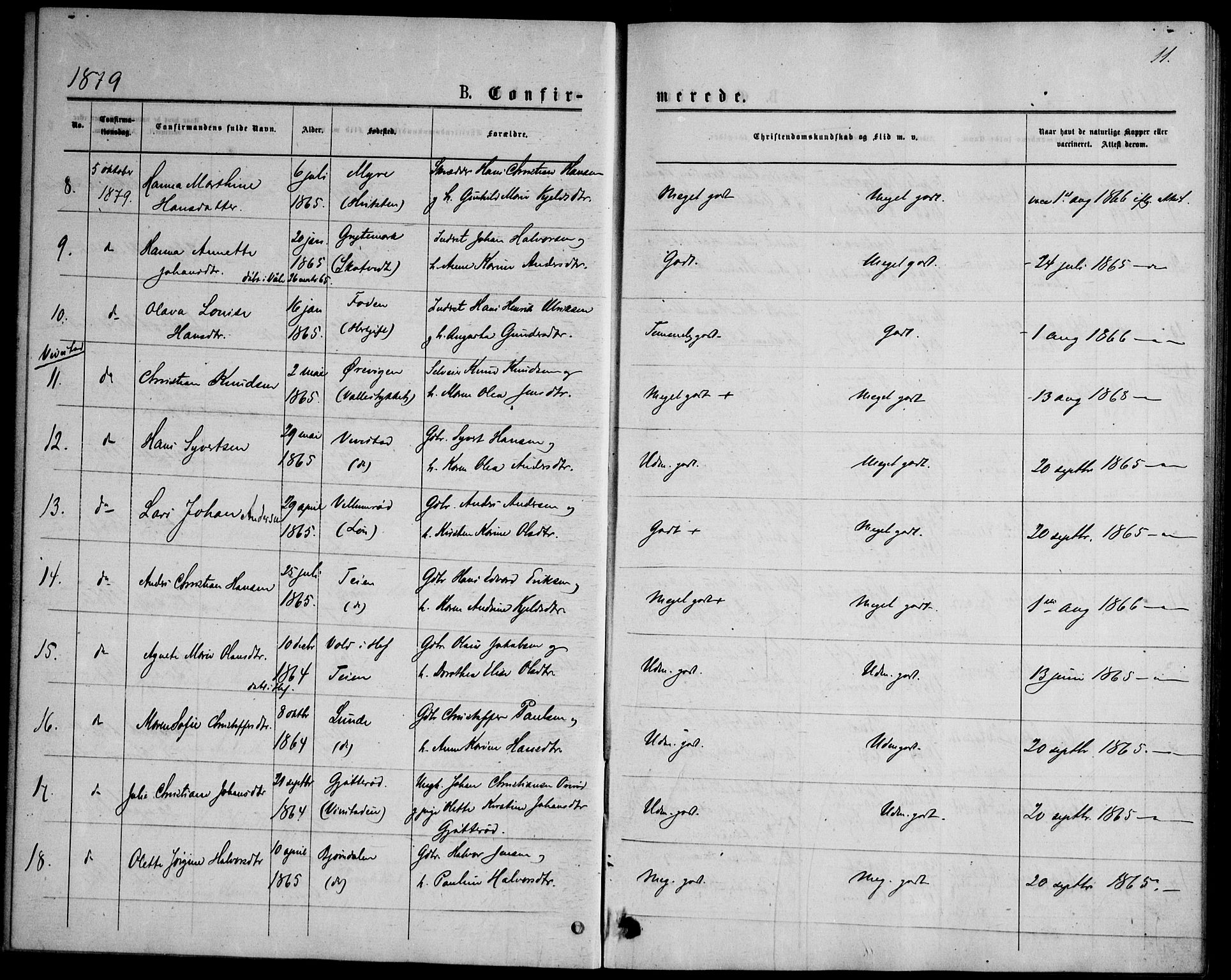 Ramnes kirkebøker, AV/SAKO-A-314/F/Fd/L0002: Curate's parish register no. IV 2, 1872-1886, p. 11