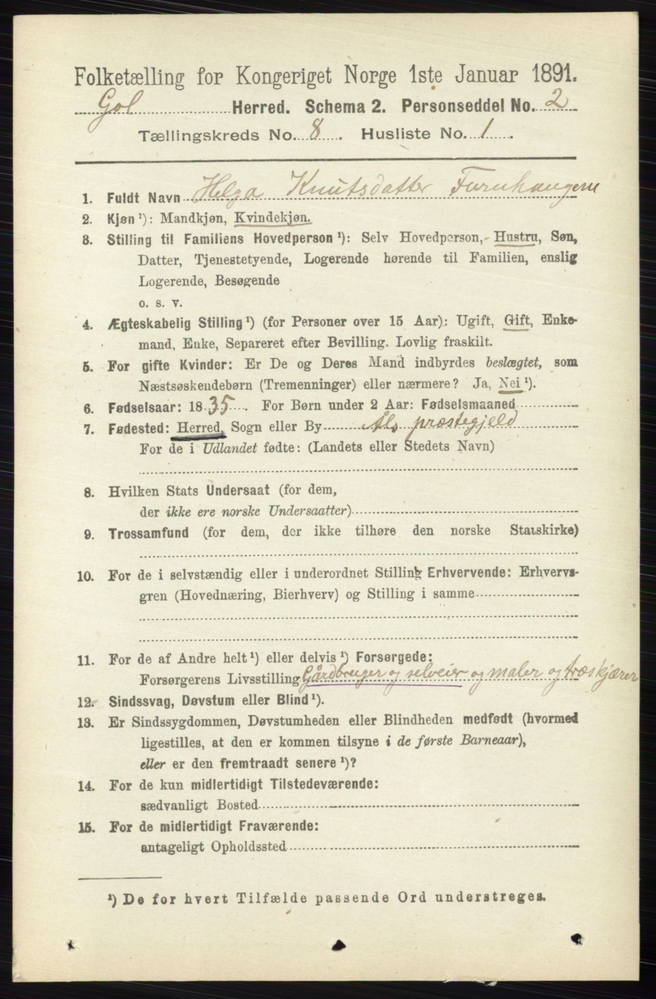 RA, 1891 census for 0617 Gol og Hemsedal, 1891, p. 3036