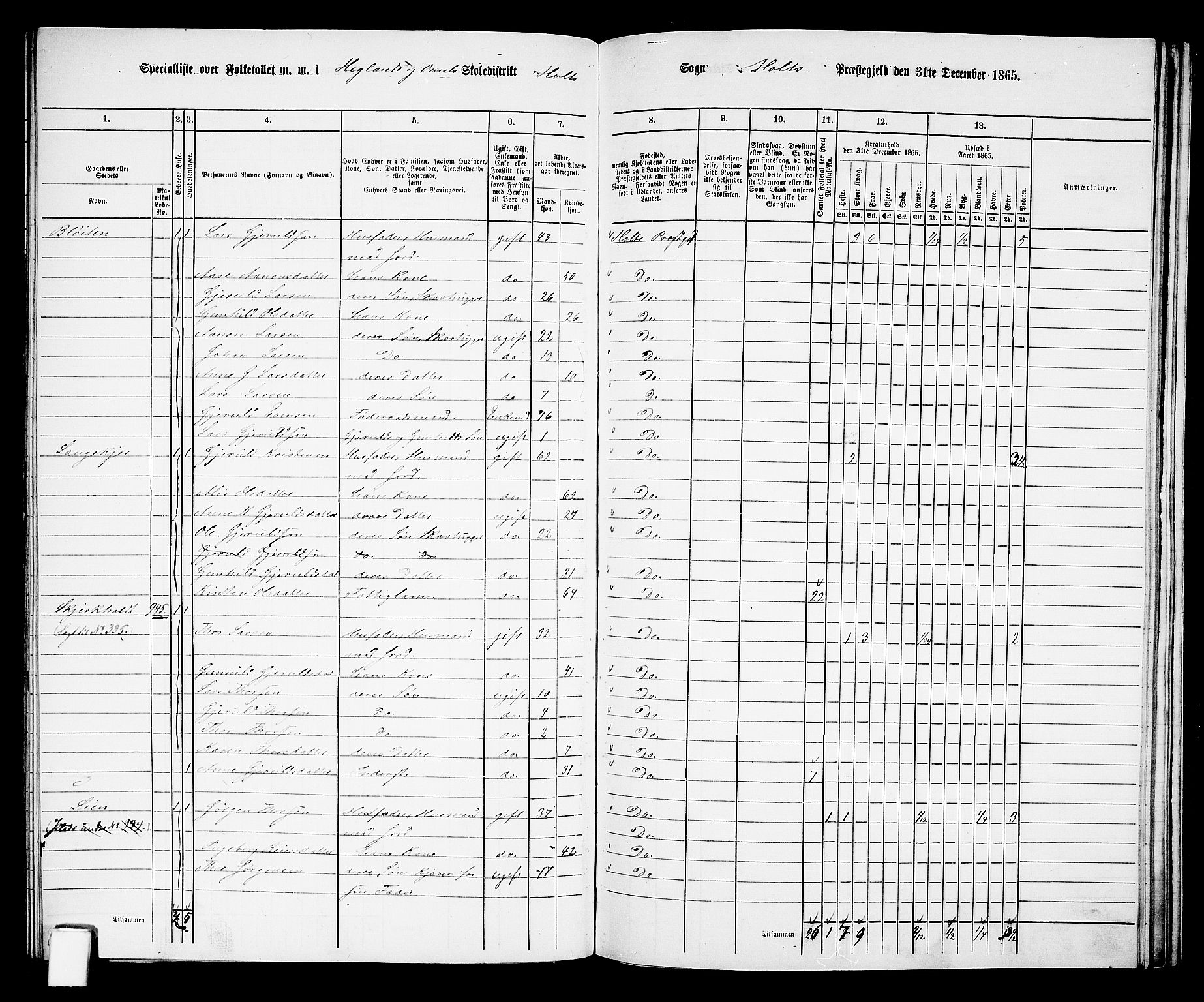 RA, 1865 census for Holt/Holt, 1865, p. 150