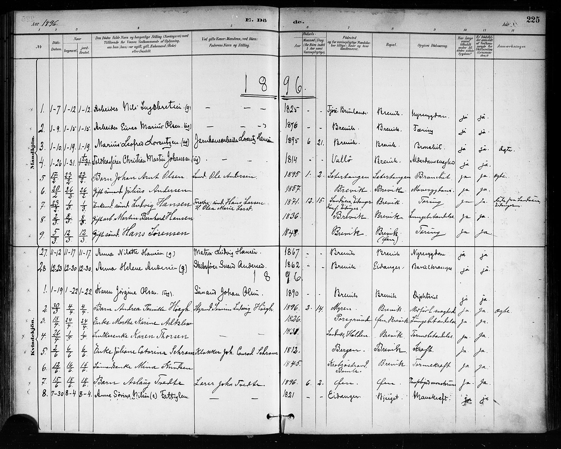 Brevik kirkebøker, AV/SAKO-A-255/F/Fa/L0007: Parish register (official) no. 7, 1882-1900, p. 225