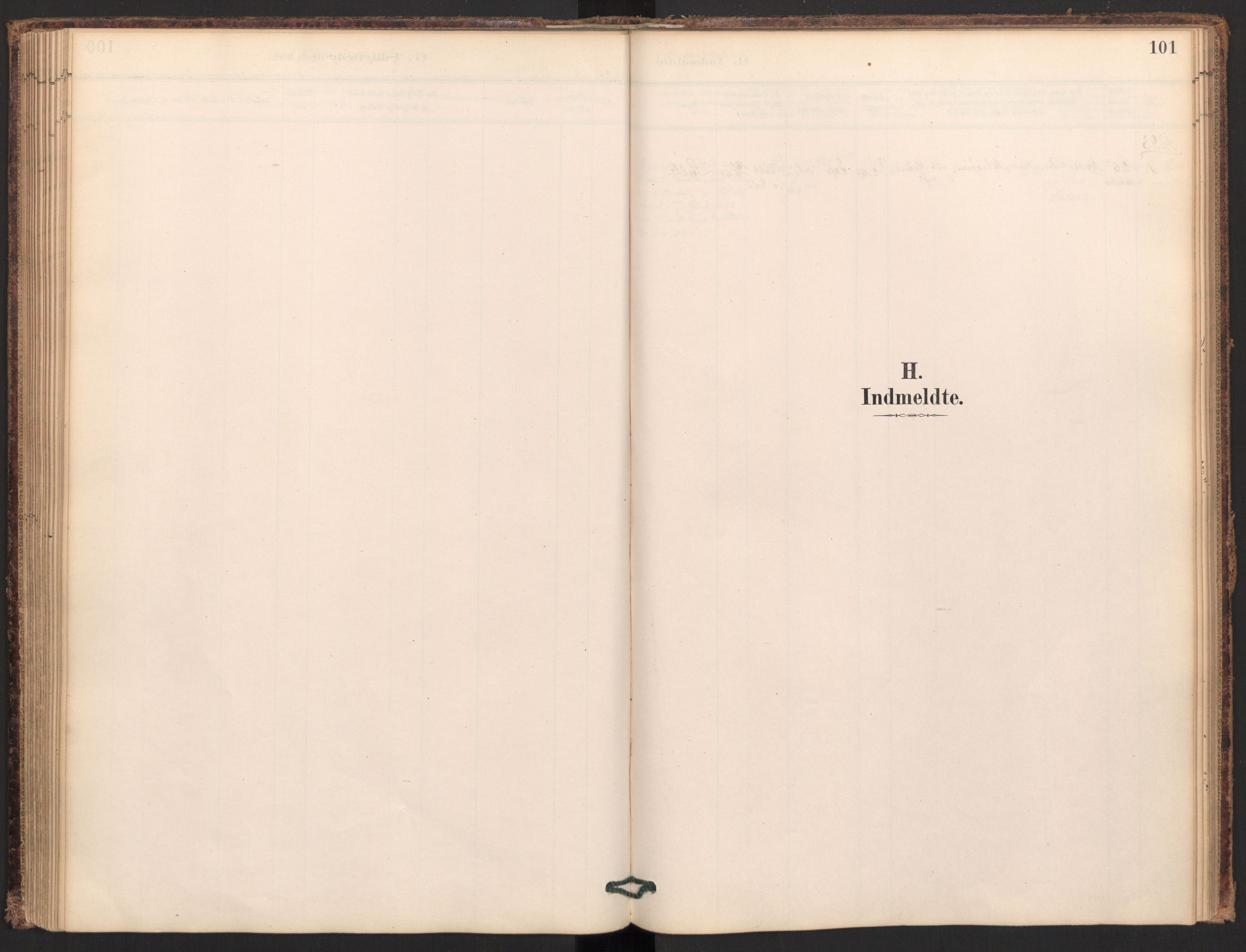 Ministerialprotokoller, klokkerbøker og fødselsregistre - Møre og Romsdal, SAT/A-1454/595/L1047: Parish register (official) no. 595A09, 1885-1900, p. 101