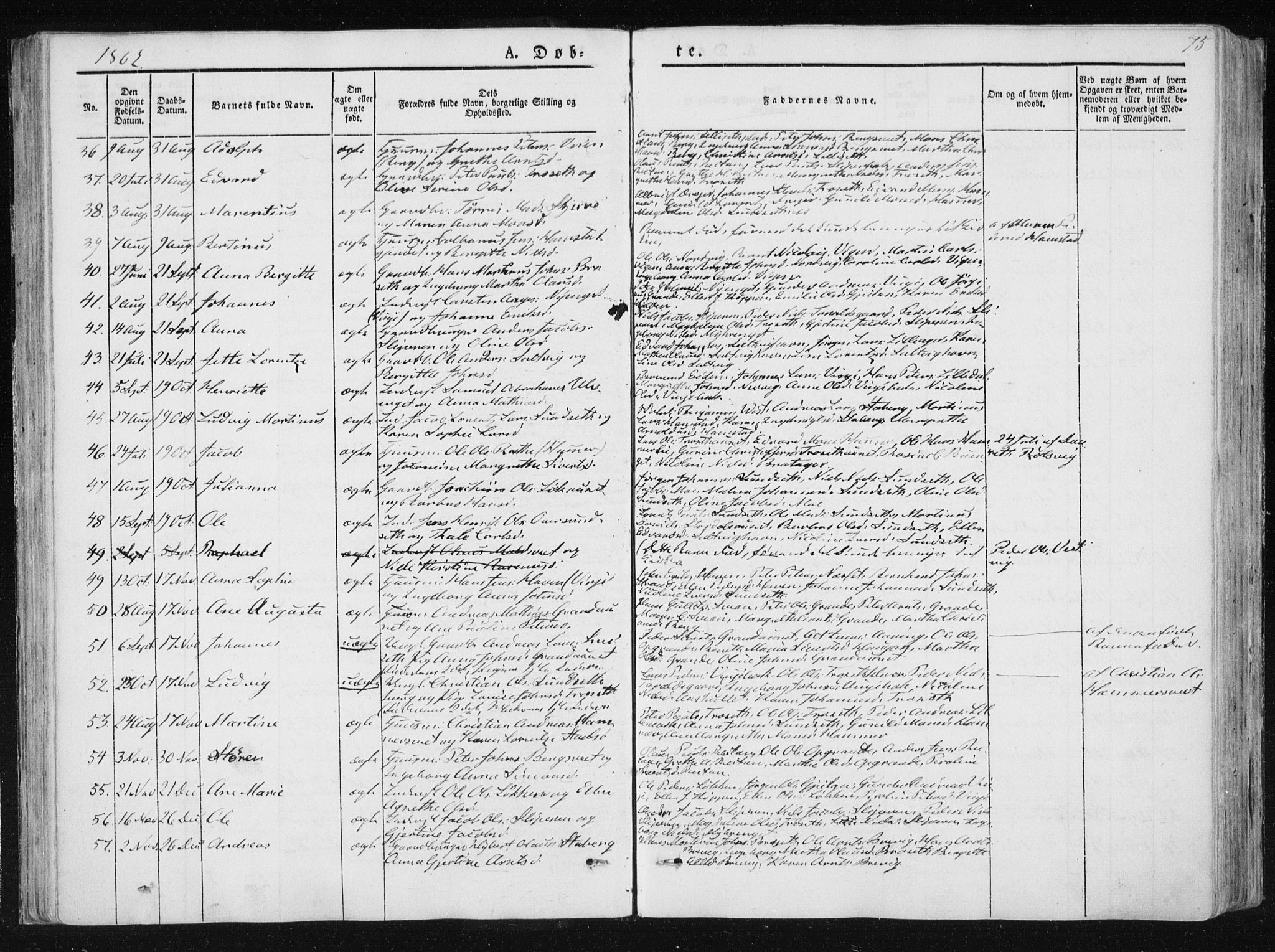 Ministerialprotokoller, klokkerbøker og fødselsregistre - Nord-Trøndelag, AV/SAT-A-1458/733/L0323: Parish register (official) no. 733A02, 1843-1870, p. 75