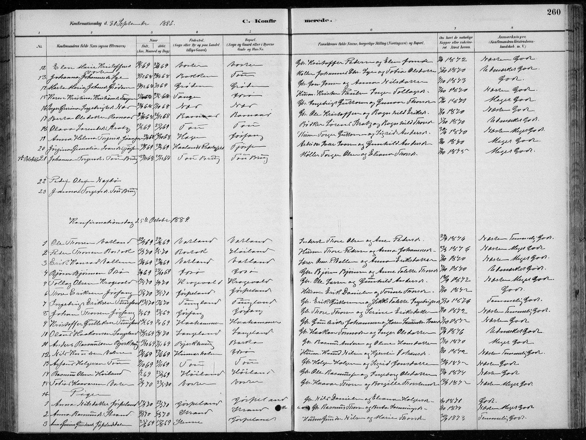 Strand sokneprestkontor, SAST/A-101828/H/Ha/Hab/L0004: Parish register (copy) no. B 4, 1878-1903, p. 260