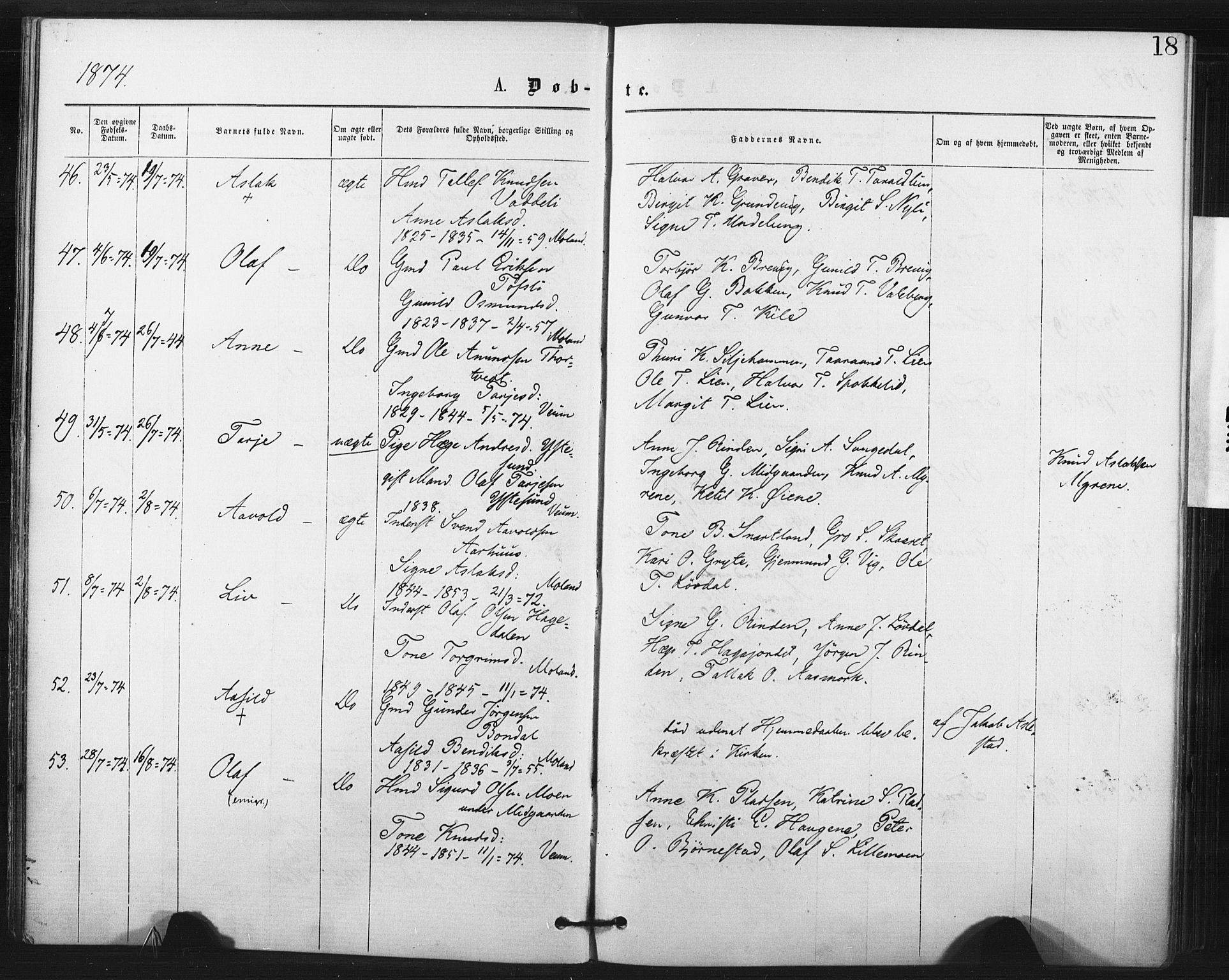 Fyresdal kirkebøker, AV/SAKO-A-263/F/Fa/L0006: Parish register (official) no. I 6, 1872-1886, p. 18