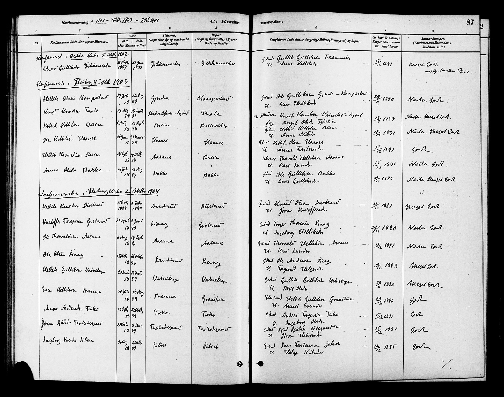 Flesberg kirkebøker, SAKO/A-18/F/Fc/L0001: Parish register (official) no. III 1, 1879-1905, p. 87