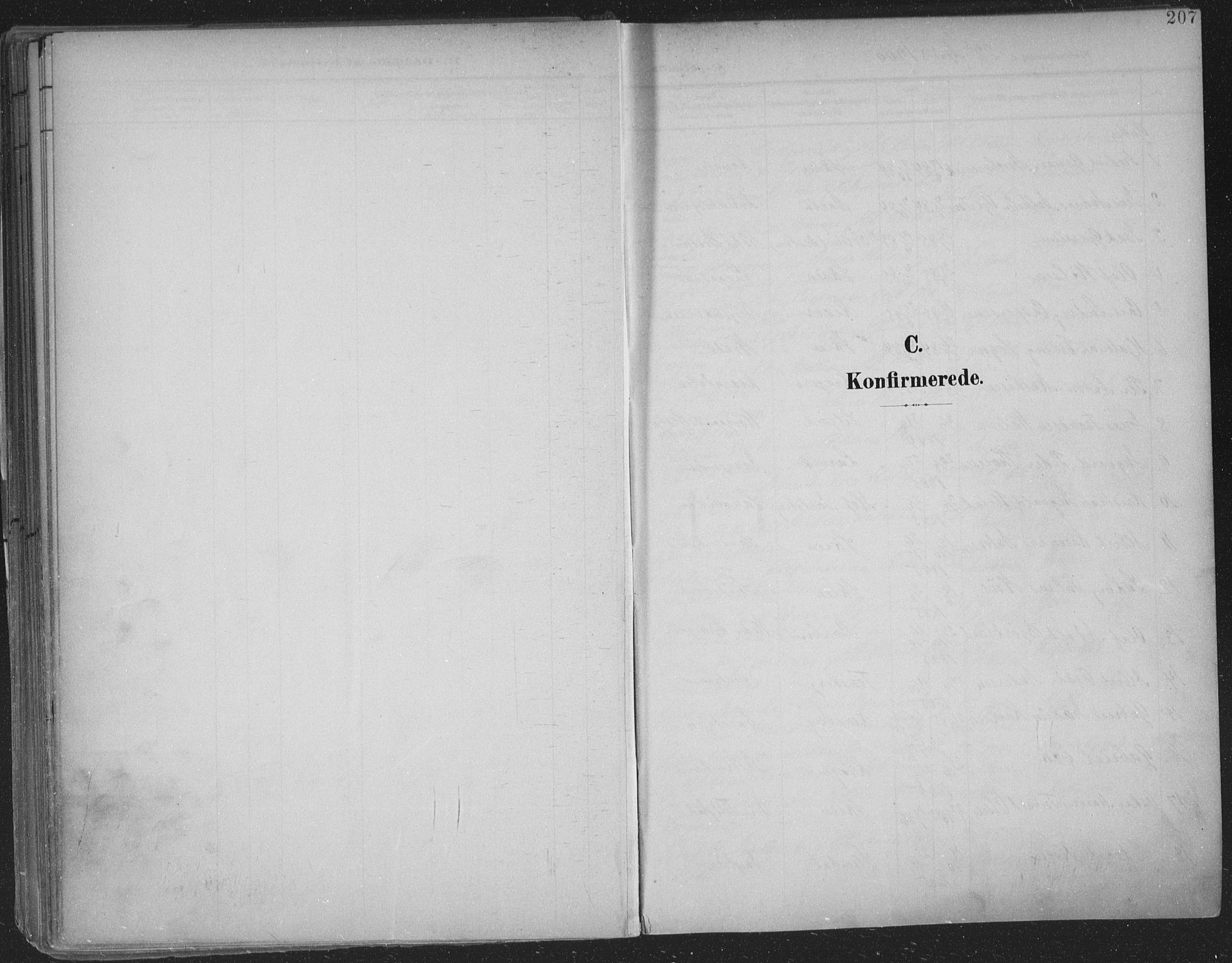 Skien kirkebøker, SAKO/A-302/F/Fa/L0011: Parish register (official) no. 11, 1900-1907, p. 207