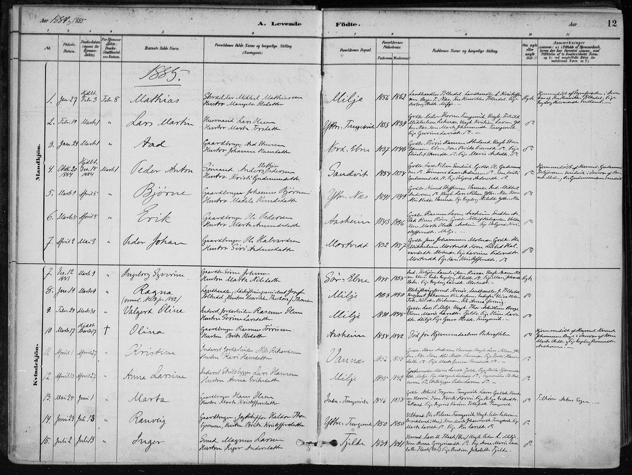 Skånevik sokneprestembete, SAB/A-77801/H/Haa: Parish register (official) no. B 1, 1879-1914, p. 12