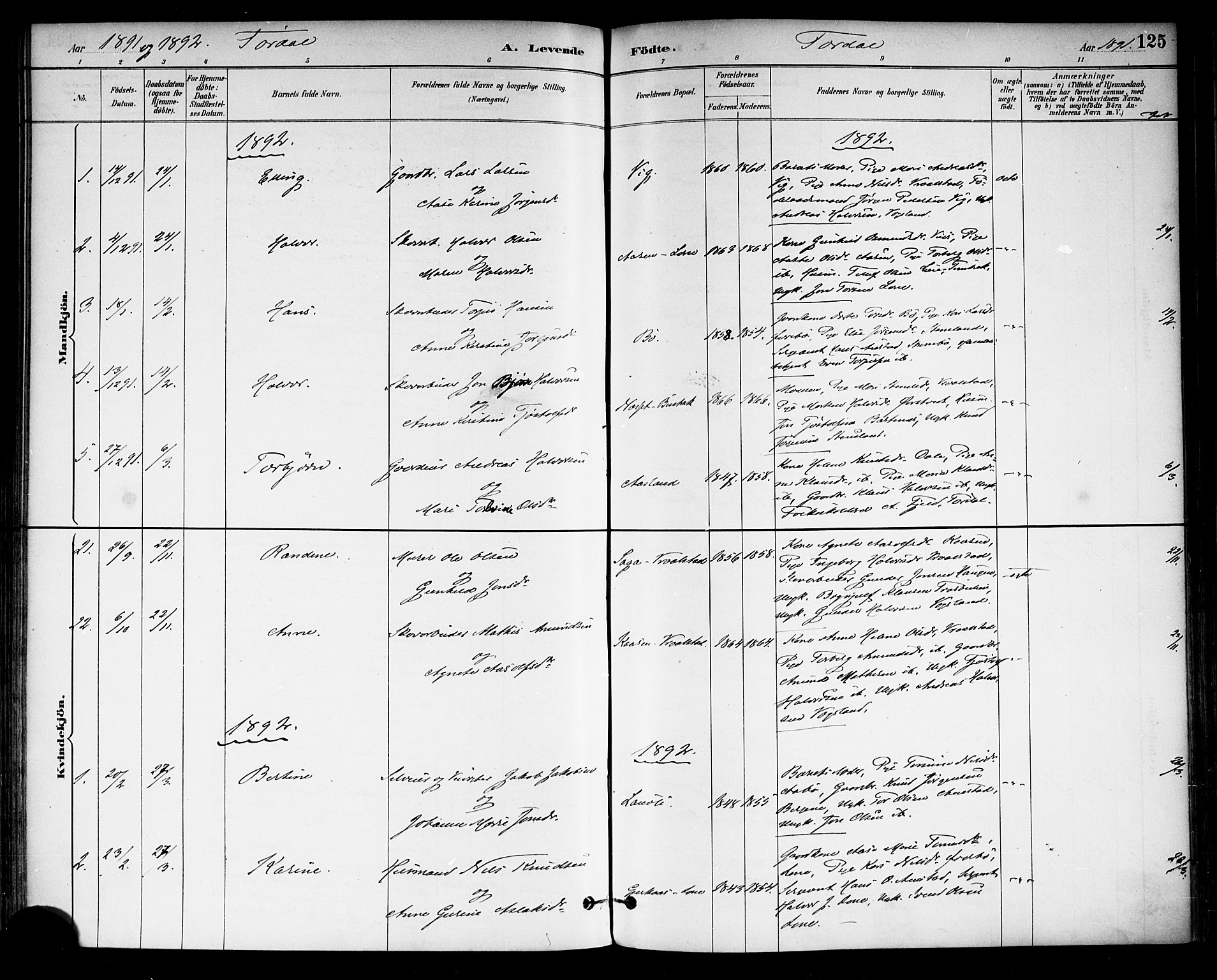 Drangedal kirkebøker, SAKO/A-258/F/Fa/L0010: Parish register (official) no. 10 /2, 1885-1894, p. 125