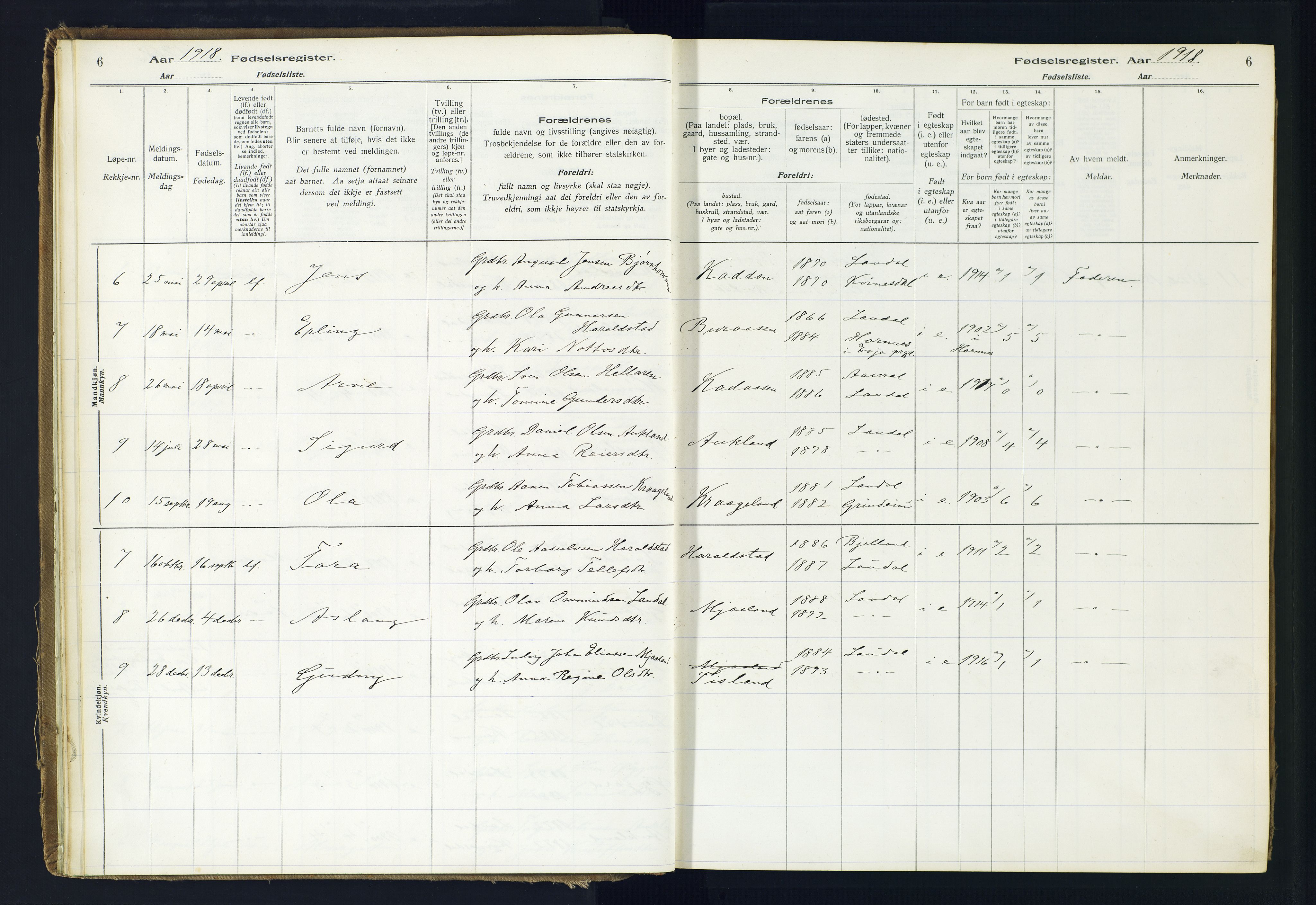 Holum sokneprestkontor, AV/SAK-1111-0022/J/Ja/L0001: Birth register no. II.6.10, 1916-1982, p. 6