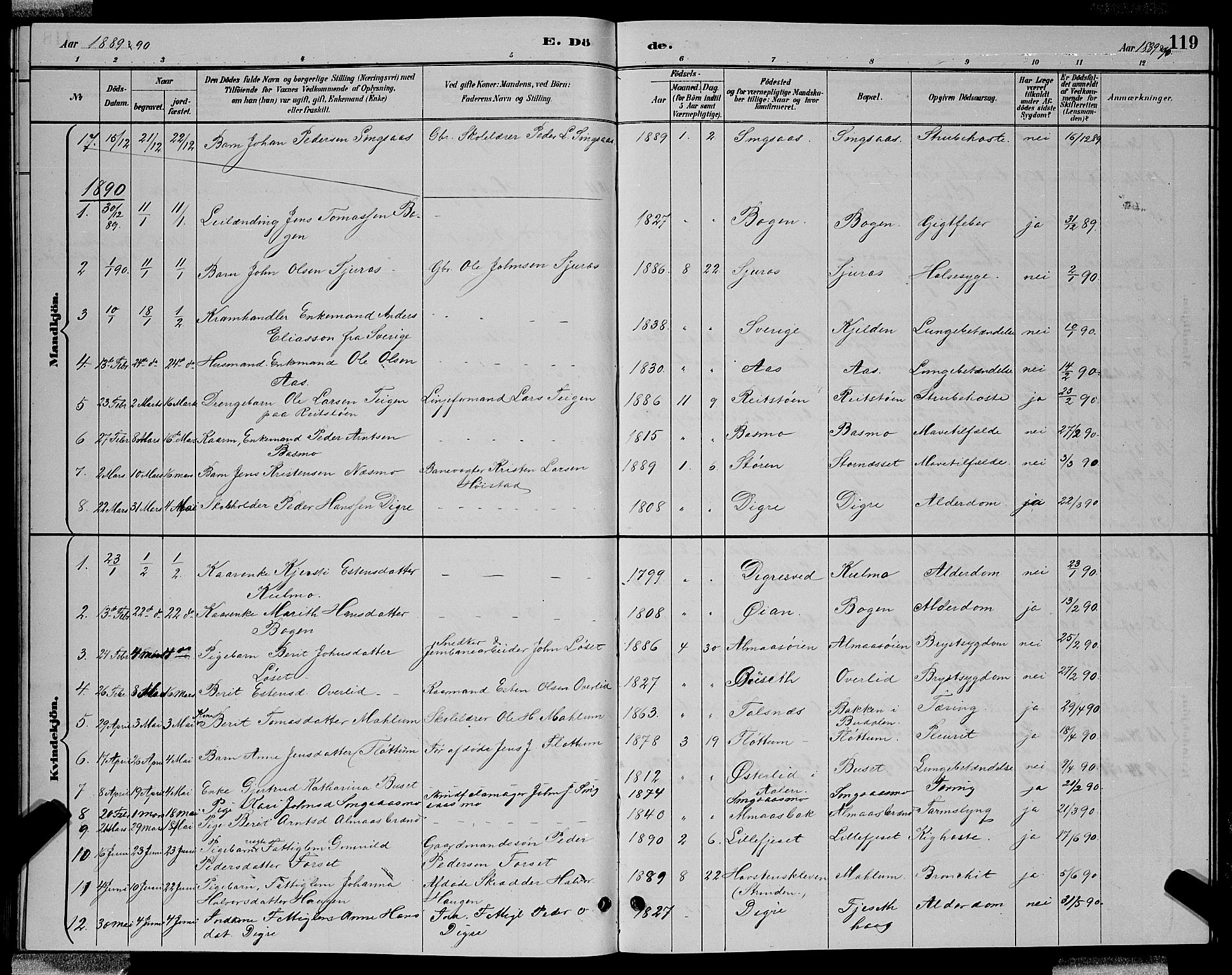 Ministerialprotokoller, klokkerbøker og fødselsregistre - Sør-Trøndelag, SAT/A-1456/688/L1028: Parish register (copy) no. 688C03, 1889-1899, p. 119