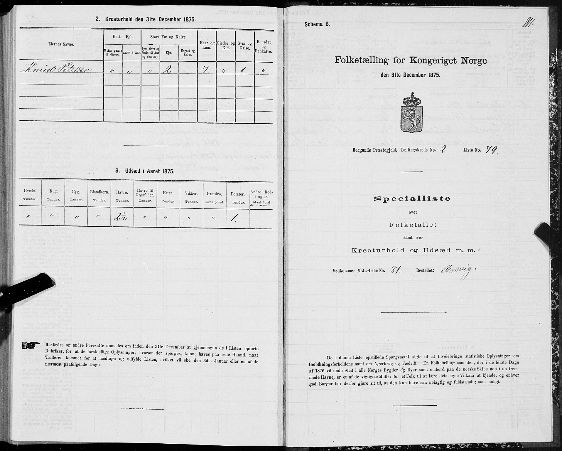 SAT, 1875 census for 1531P Borgund, 1875, p. 1311