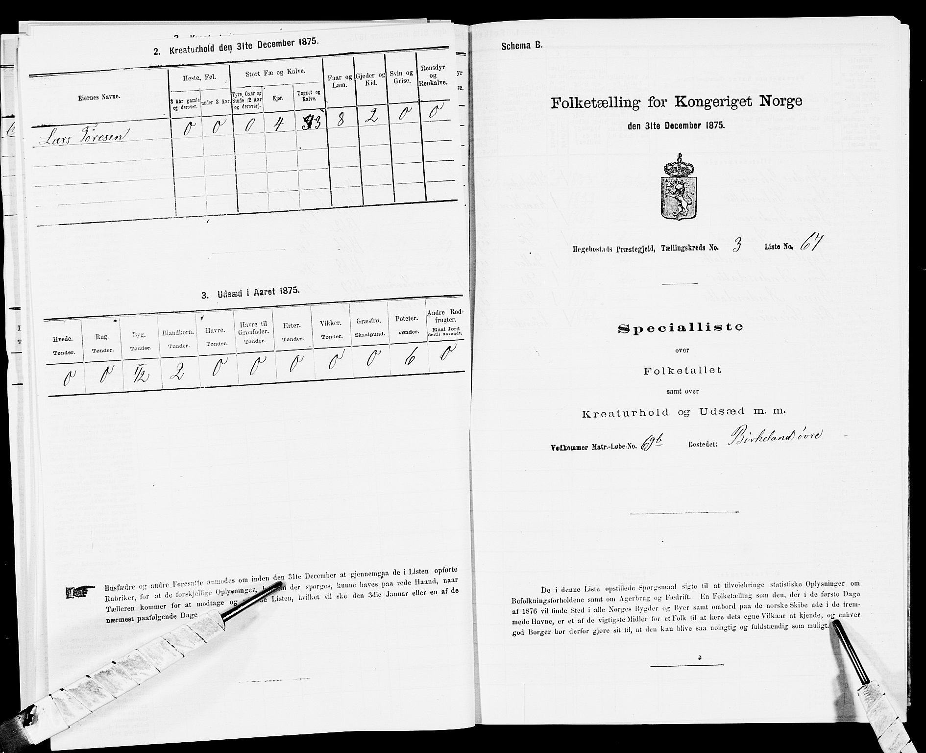 SAK, 1875 census for 1034P Hægebostad, 1875, p. 335