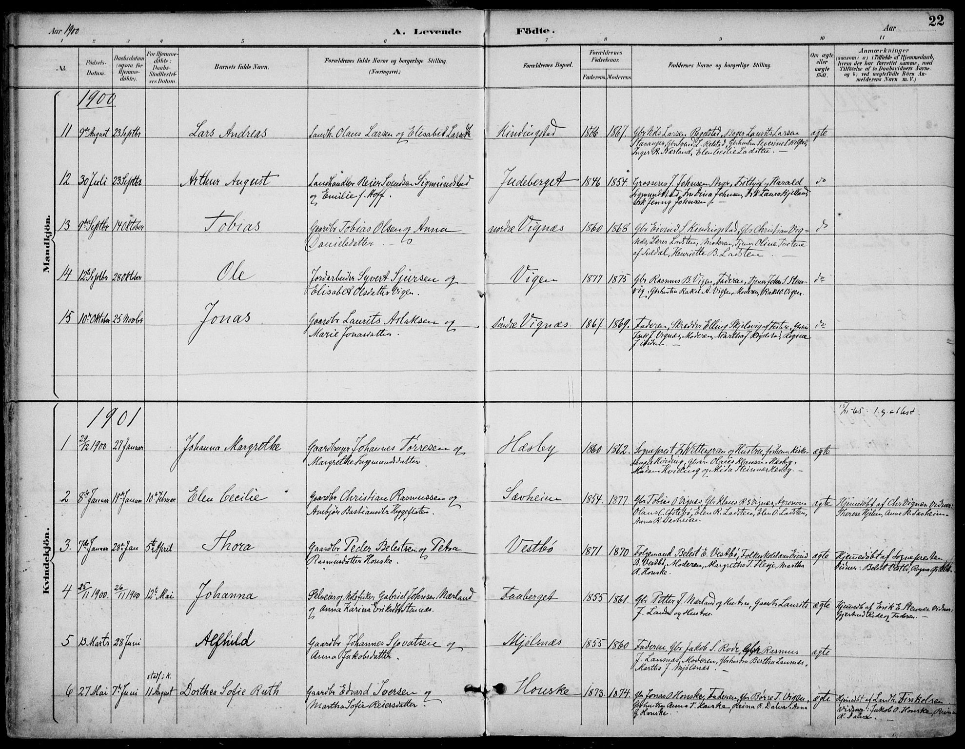 Finnøy sokneprestkontor, SAST/A-101825/H/Ha/Haa/L0011: Parish register (official) no. A 11, 1891-1910, p. 22
