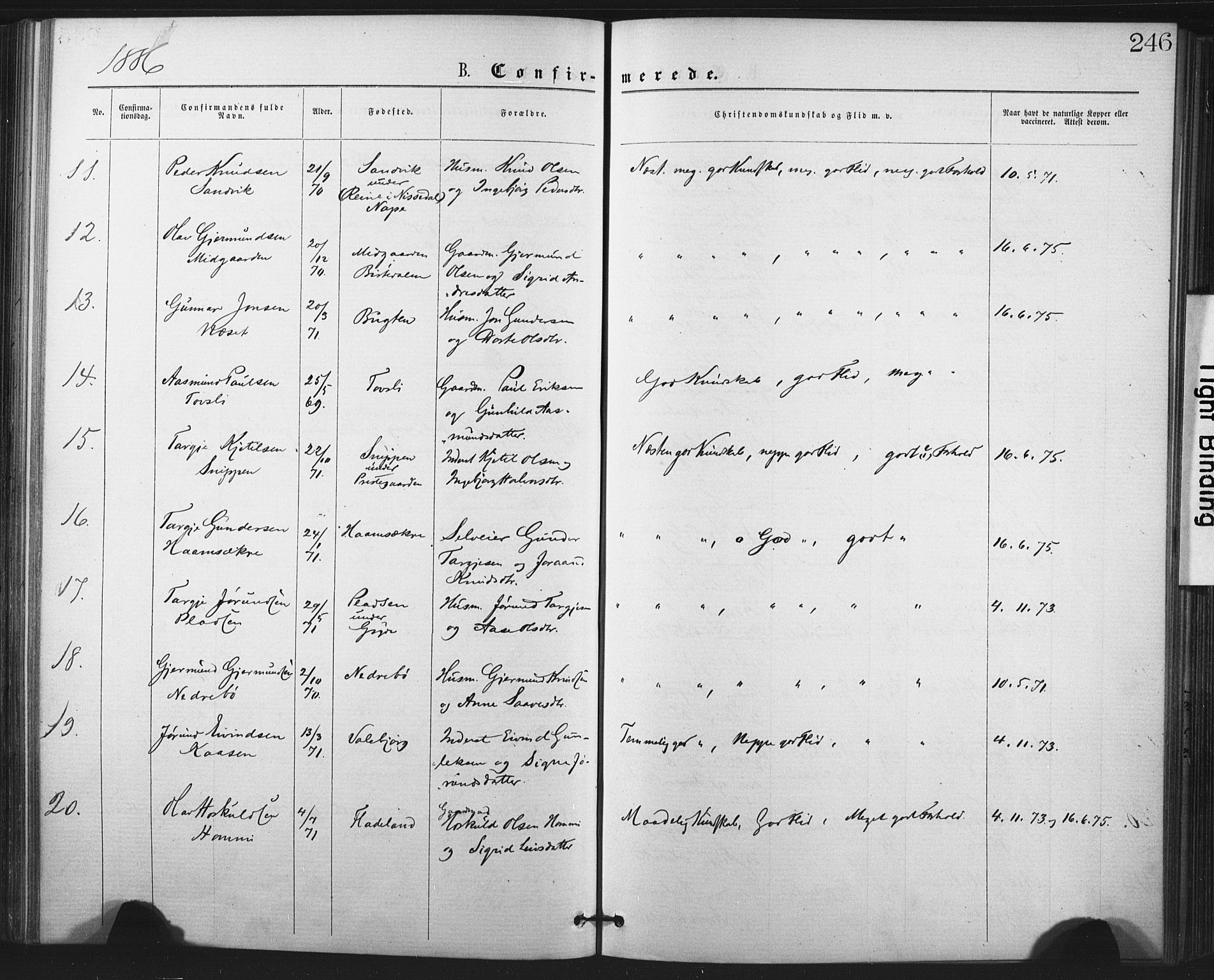 Fyresdal kirkebøker, SAKO/A-263/F/Fa/L0006: Parish register (official) no. I 6, 1872-1886, p. 246