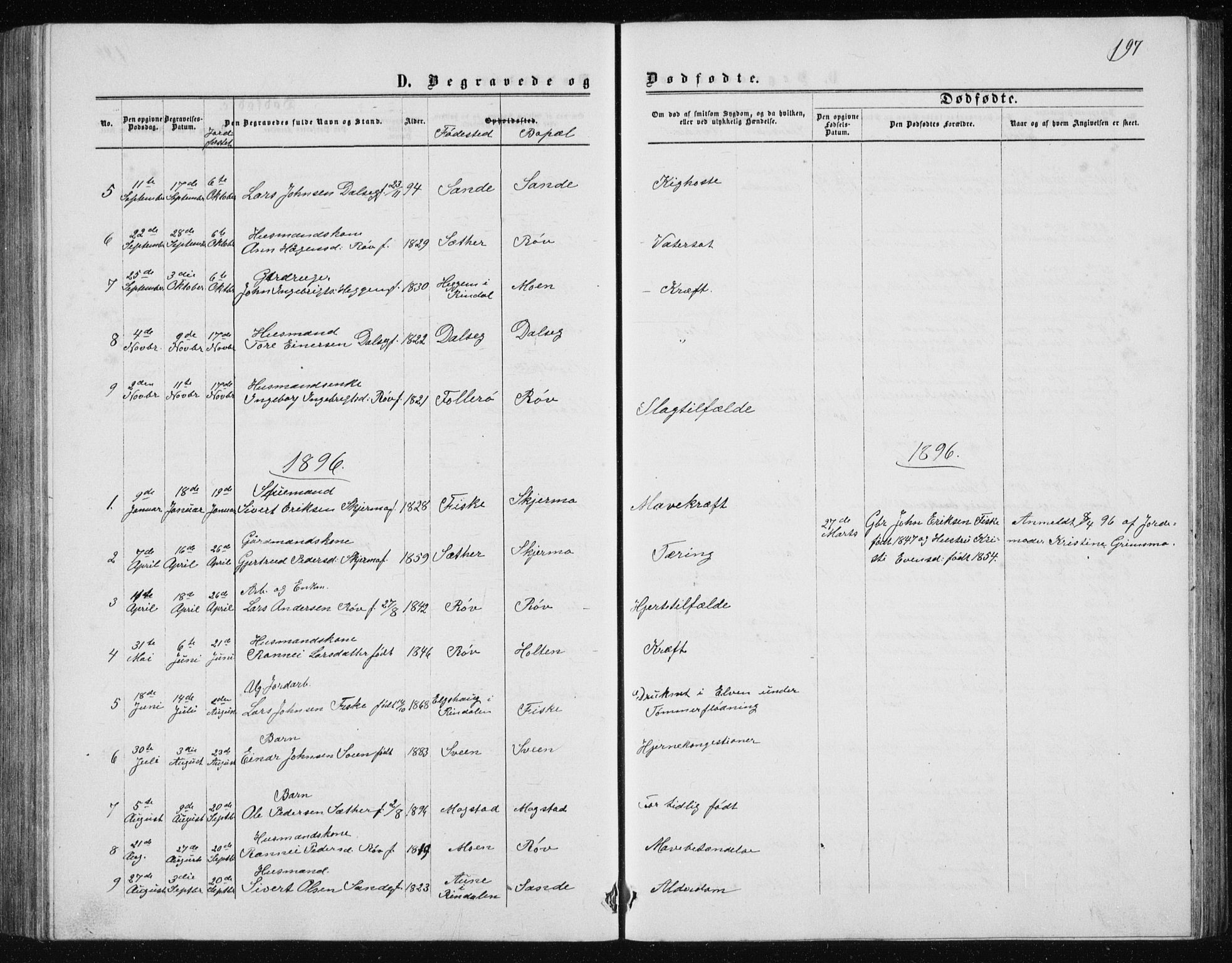 Ministerialprotokoller, klokkerbøker og fødselsregistre - Møre og Romsdal, AV/SAT-A-1454/597/L1064: Parish register (copy) no. 597C01, 1866-1898, p. 197