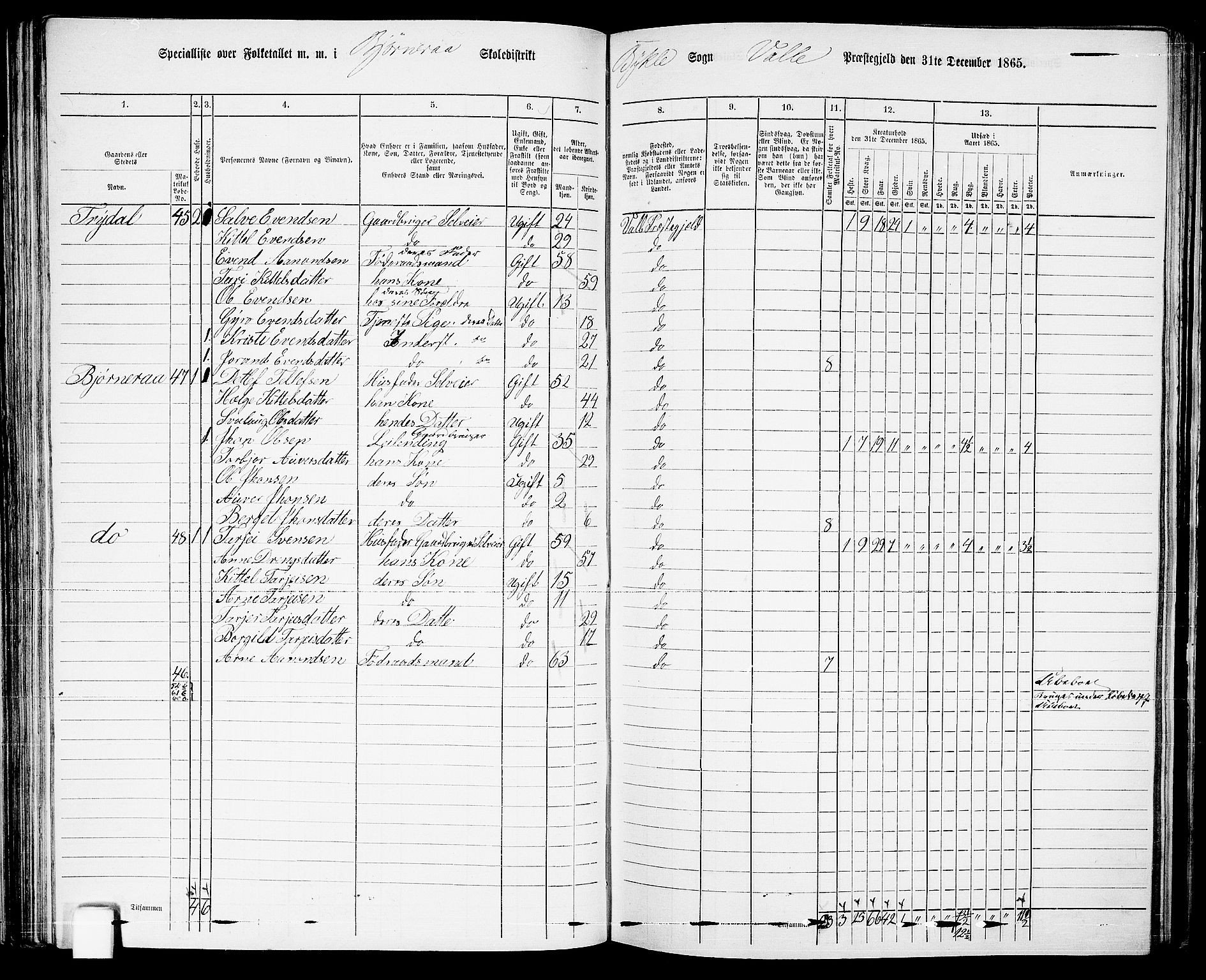 RA, 1865 census for Valle, 1865, p. 78