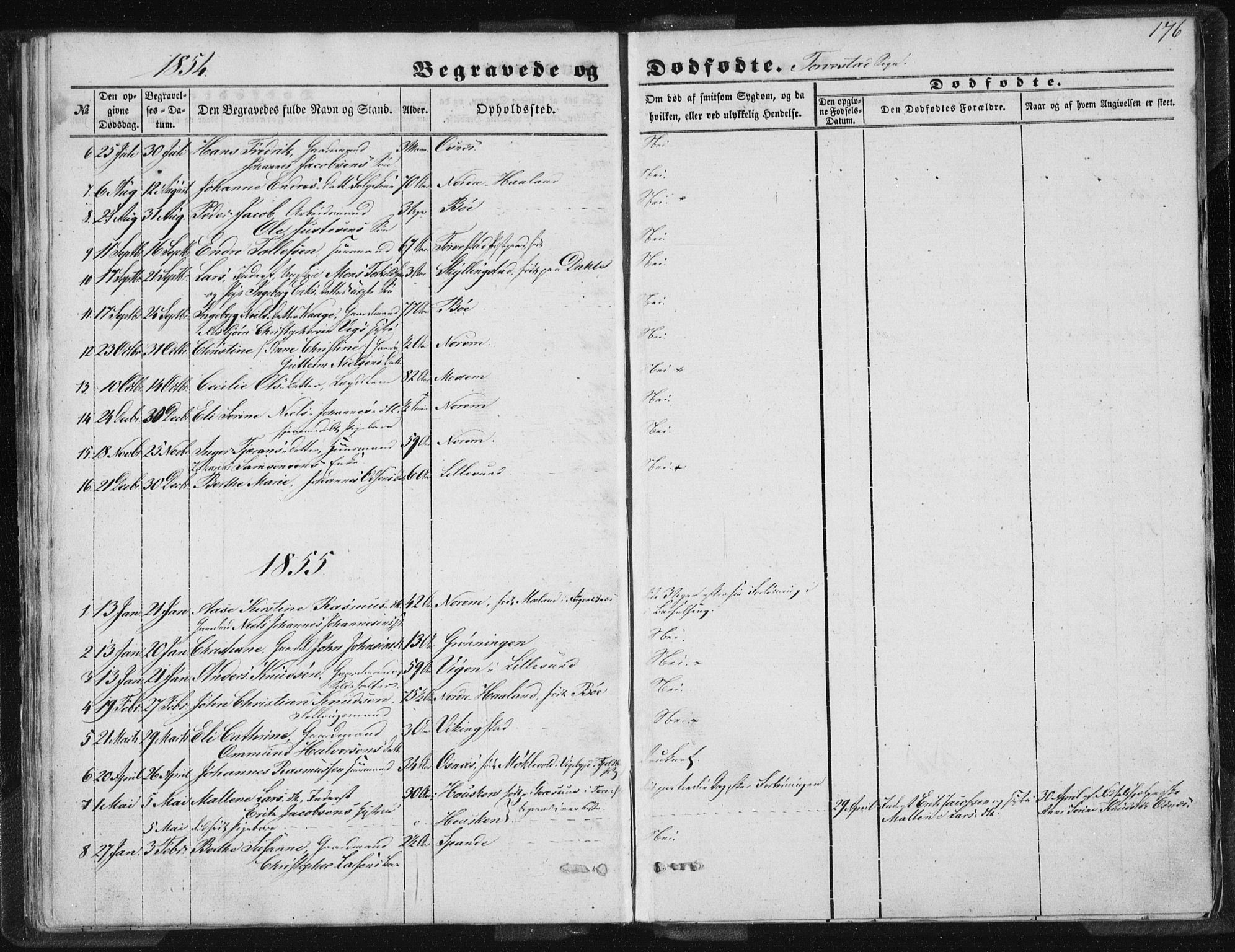 Torvastad sokneprestkontor, SAST/A -101857/H/Ha/Haa/L0008: Parish register (official) no. A 8, 1847-1856, p. 176