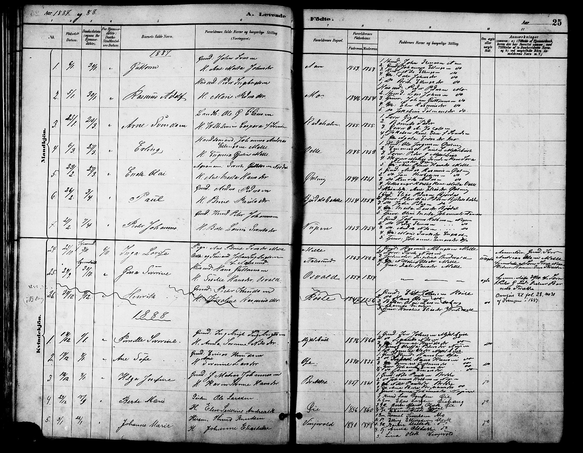 Ministerialprotokoller, klokkerbøker og fødselsregistre - Møre og Romsdal, AV/SAT-A-1454/513/L0189: Parish register (copy) no. 513C03, 1883-1904, p. 25