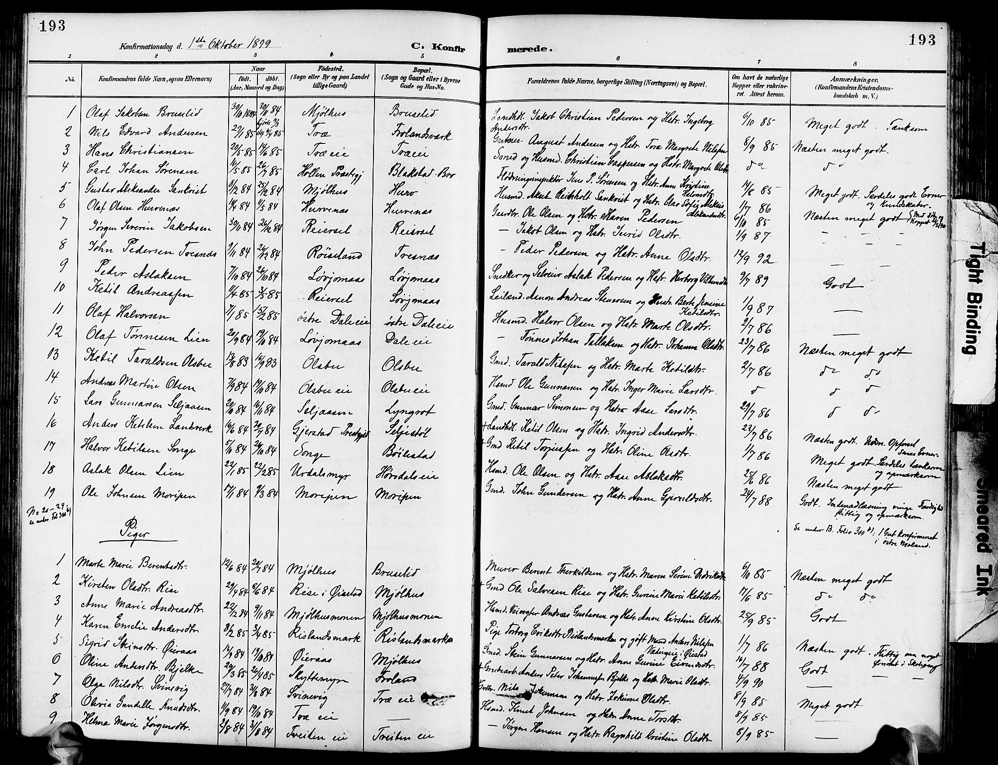Froland sokneprestkontor, SAK/1111-0013/F/Fb/L0010: Parish register (copy) no. B 10, 1893-1920, p. 193