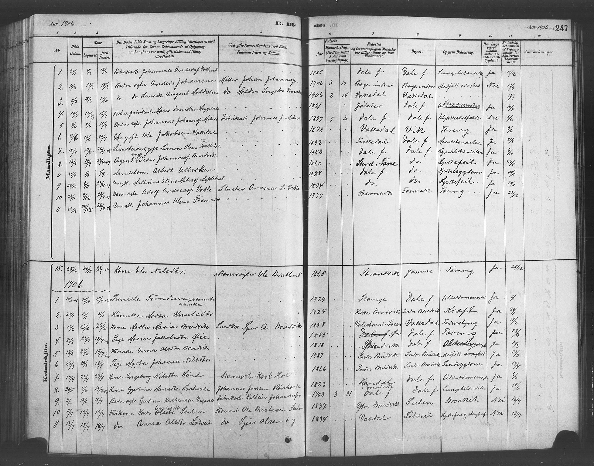 Bruvik Sokneprestembete, AV/SAB-A-74701/H/Hab: Parish register (copy) no. A 1, 1878-1907, p. 247