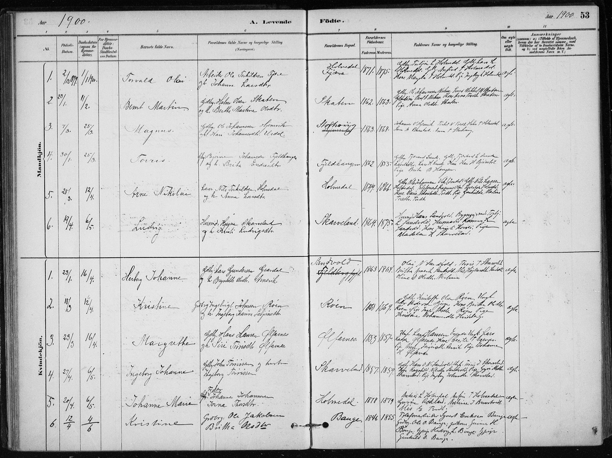 Skånevik sokneprestembete, SAB/A-77801/H/Haa: Parish register (official) no. C  1, 1879-1917, p. 53