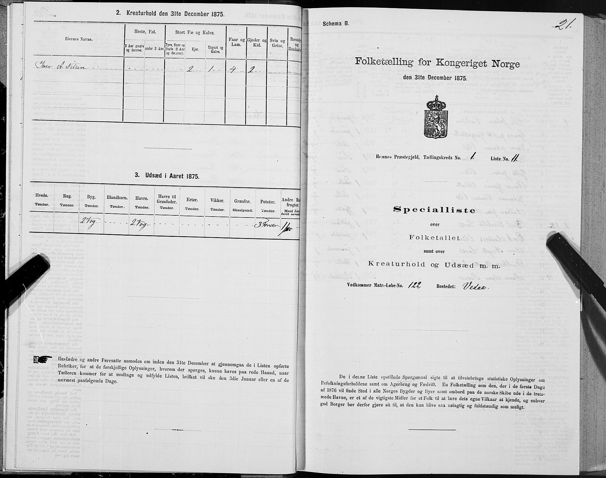 SAT, 1875 census for 1832P Hemnes, 1875, p. 1021