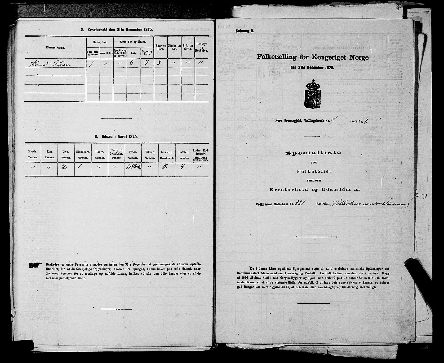 SAKO, 1875 census for 0633P Nore, 1875, p. 987