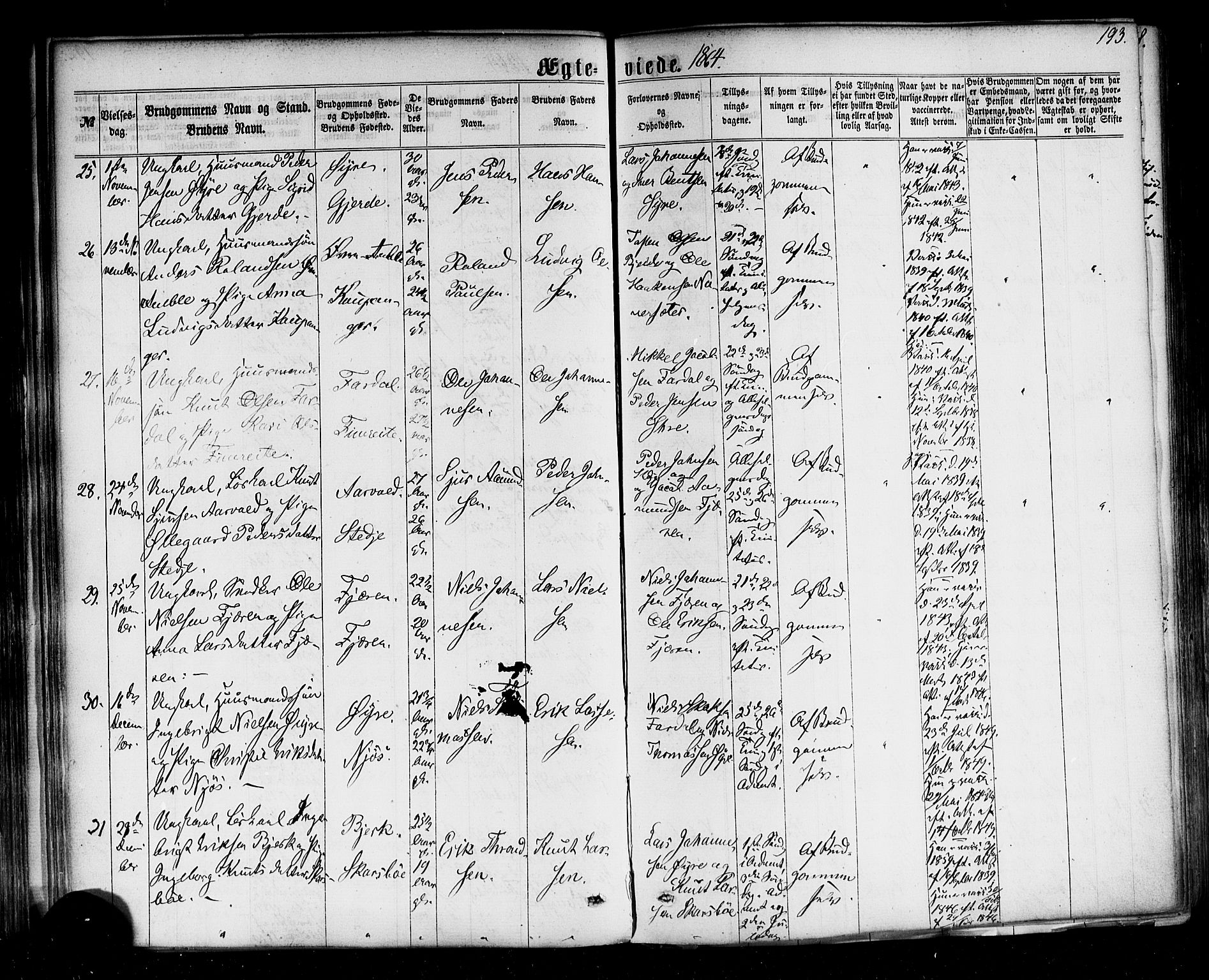 Sogndal sokneprestembete, AV/SAB-A-81301/H/Haa/Haaa/L0013: Parish register (official) no. A 13, 1859-1877, p. 193