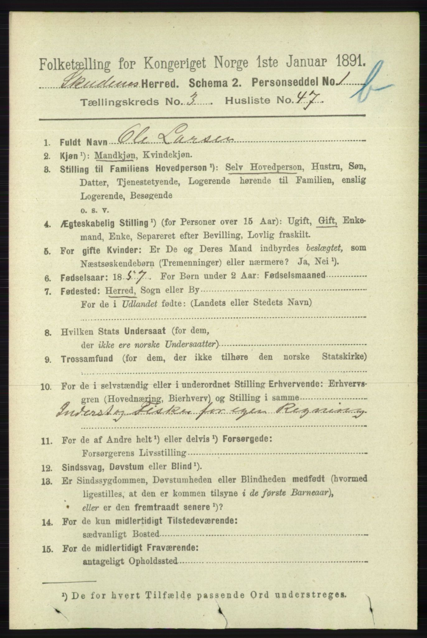 RA, 1891 census for 1150 Skudenes, 1891, p. 4241