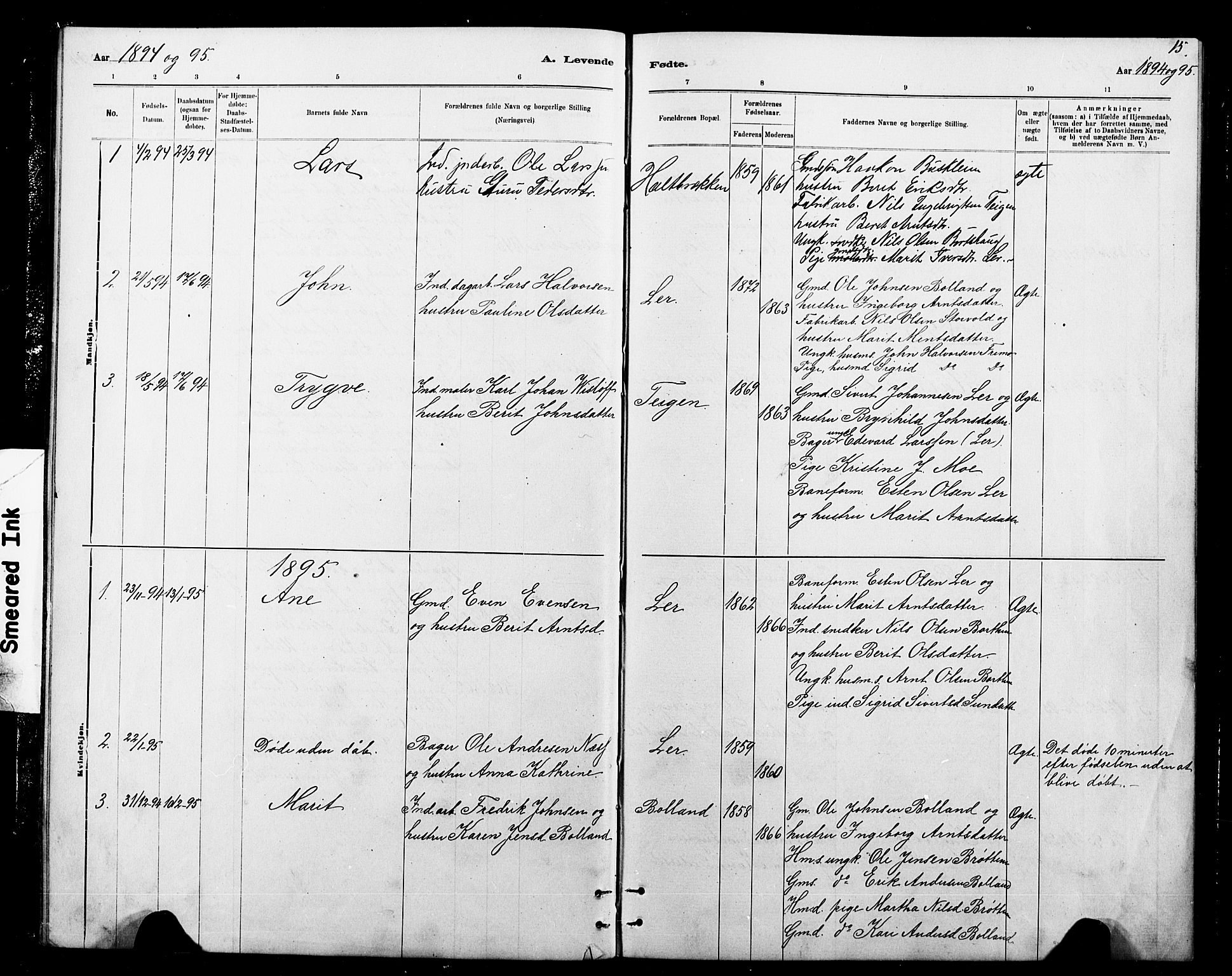 Ministerialprotokoller, klokkerbøker og fødselsregistre - Sør-Trøndelag, SAT/A-1456/693/L1123: Parish register (copy) no. 693C04, 1887-1910, p. 15