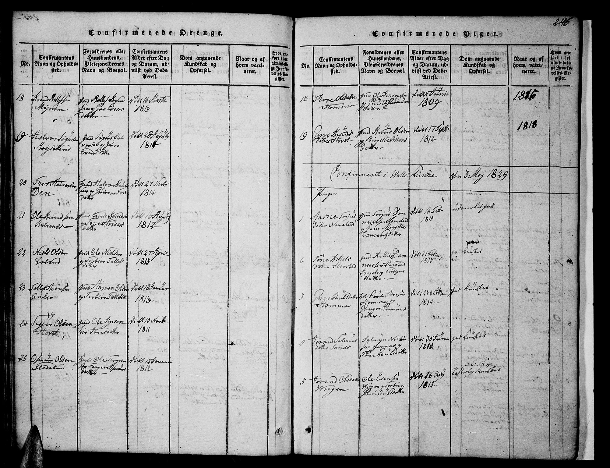 Valle sokneprestkontor, AV/SAK-1111-0044/F/Fb/Fbc/L0001: Parish register (copy) no. B 1 /1, 1816-1829, p. 246