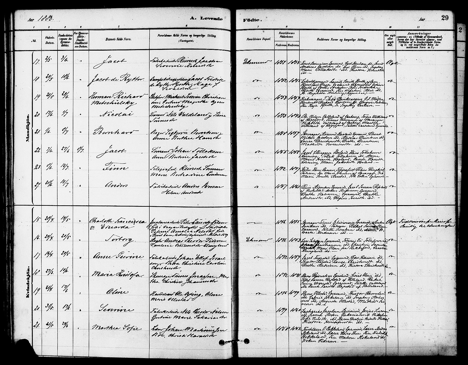 Eigersund sokneprestkontor, AV/SAST-A-101807/S08/L0015: Parish register (official) no. A 15, 1879-1892, p. 29