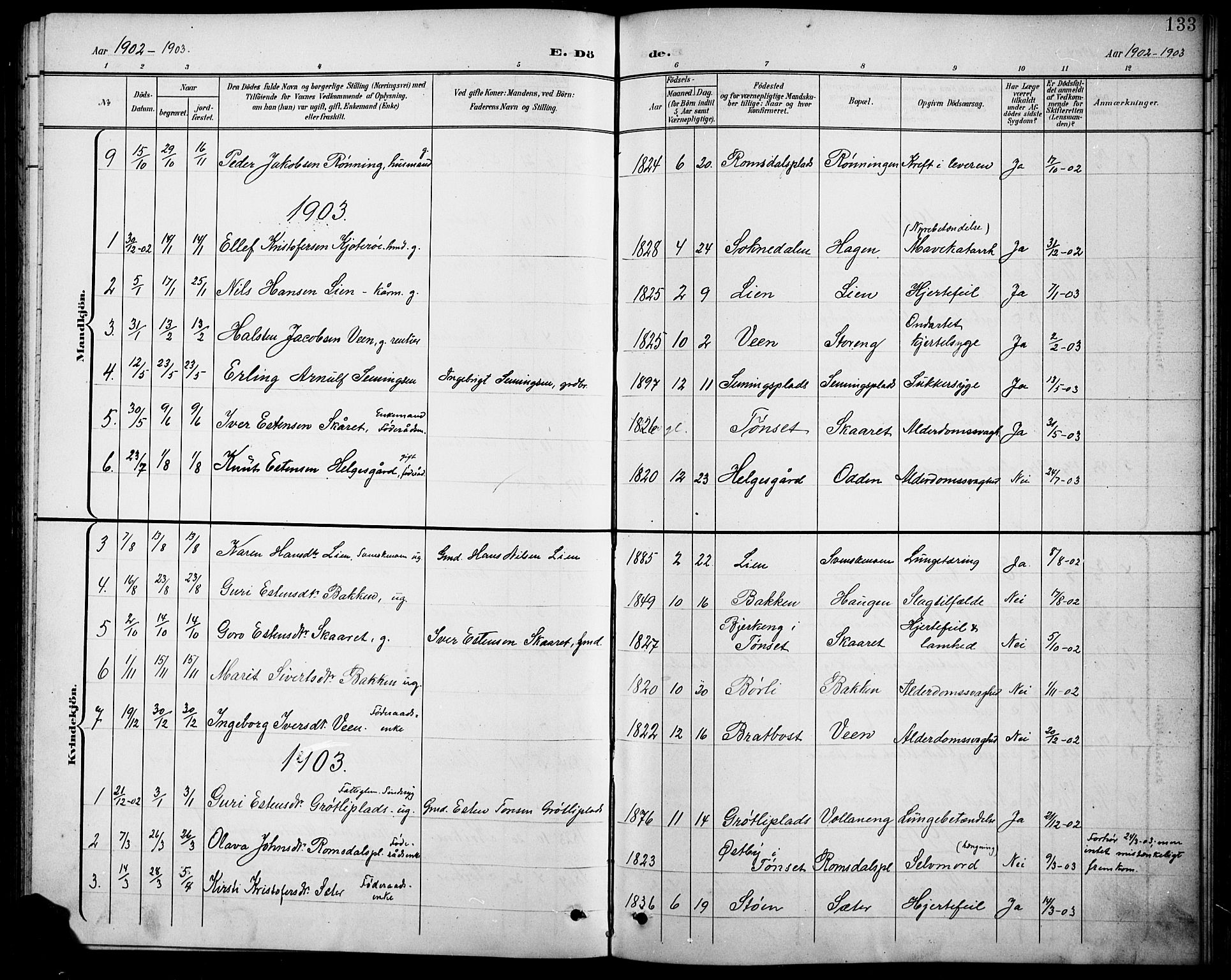 Kvikne prestekontor, SAH/PREST-064/H/Ha/Hab/L0003: Parish register (copy) no. 3, 1896-1918, p. 133