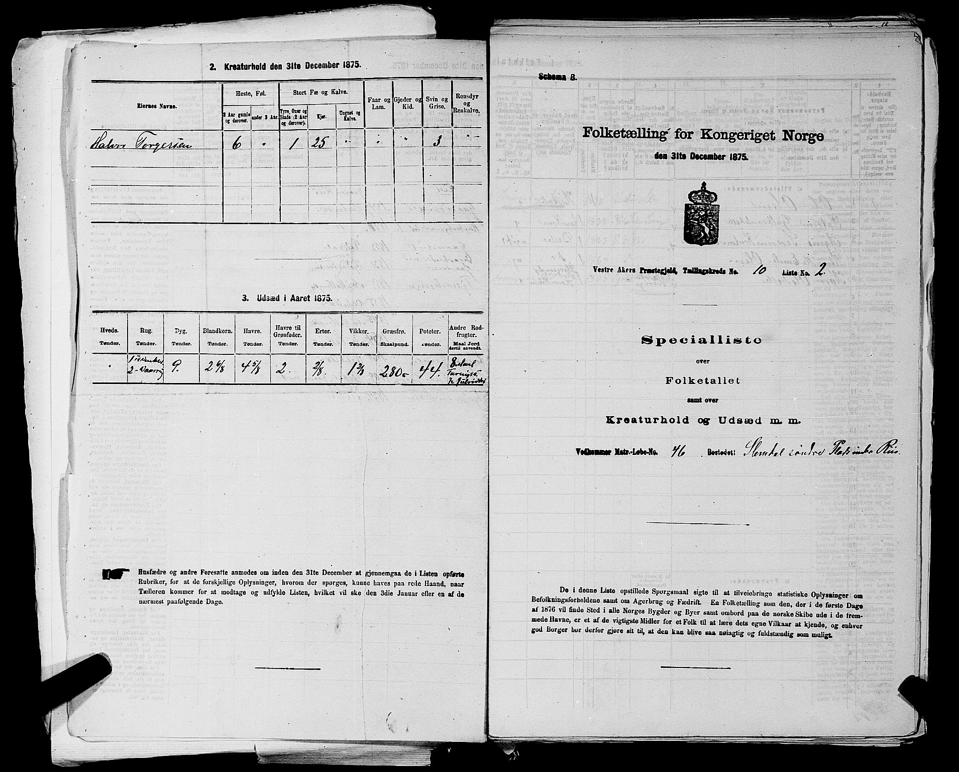 RA, 1875 census for 0218aP Vestre Aker, 1875, p. 1724