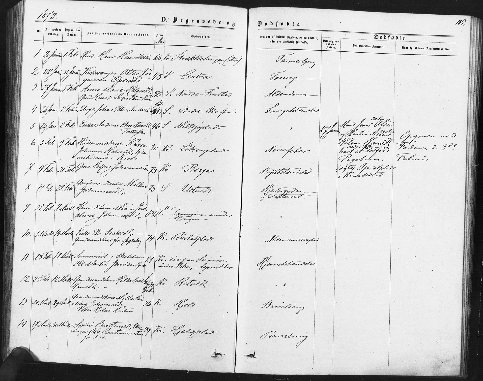 Kråkstad prestekontor Kirkebøker, SAO/A-10125a/F/Fa/L0008: Parish register (official) no. I 8, 1870-1879, p. 185