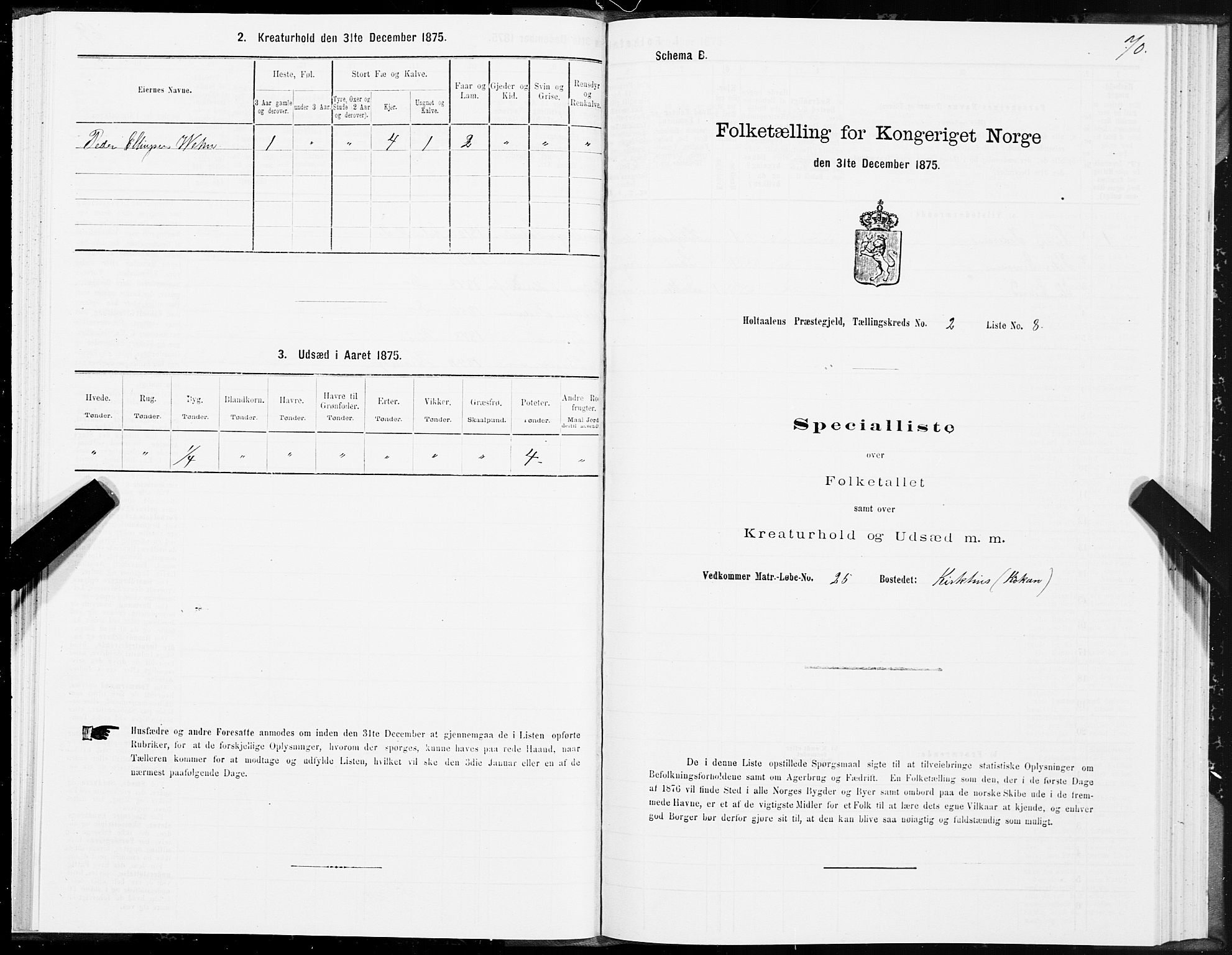 SAT, 1875 census for 1645P Haltdalen, 1875, p. 4070