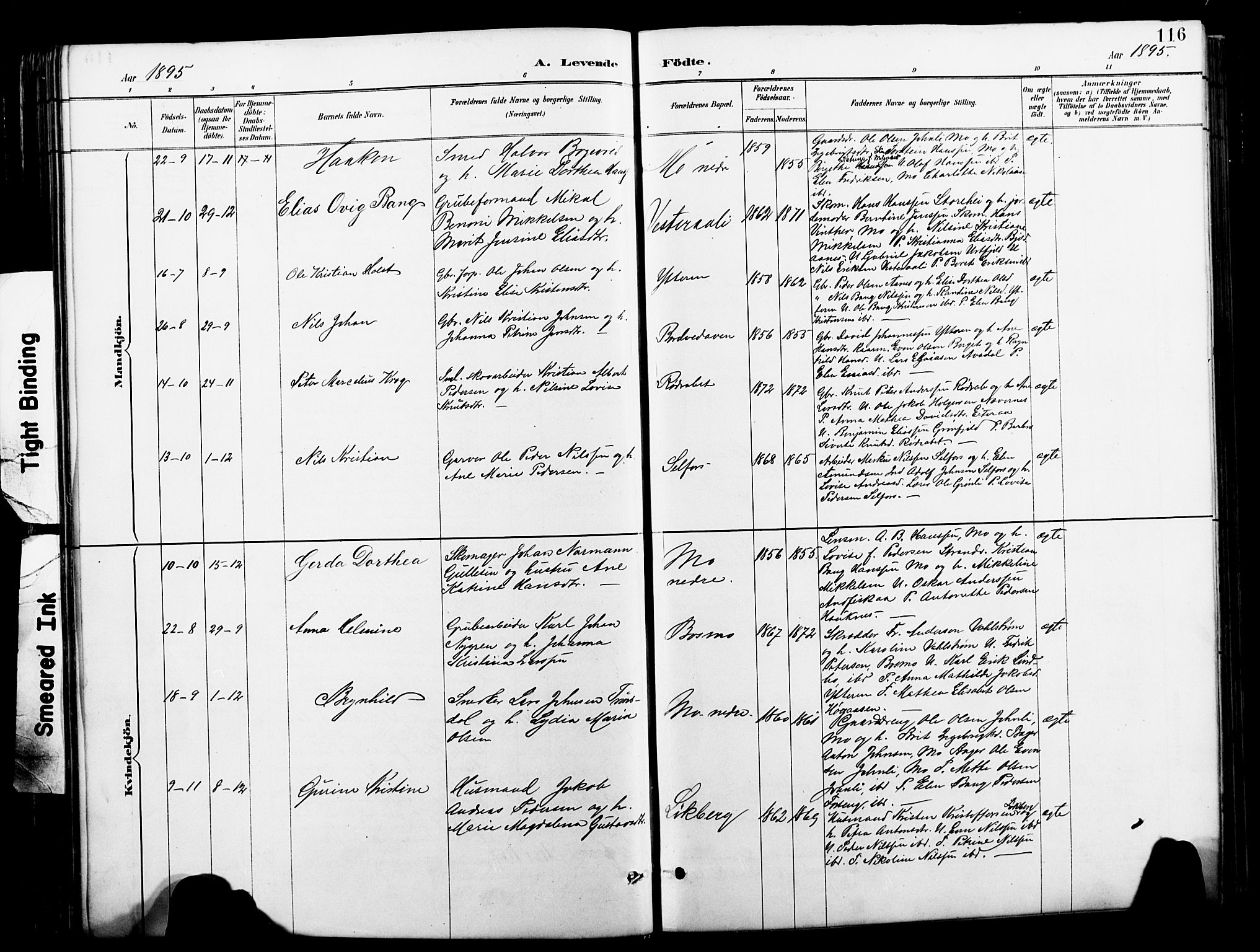 Ministerialprotokoller, klokkerbøker og fødselsregistre - Nordland, SAT/A-1459/827/L0421: Parish register (copy) no. 827C10, 1887-1906, p. 116