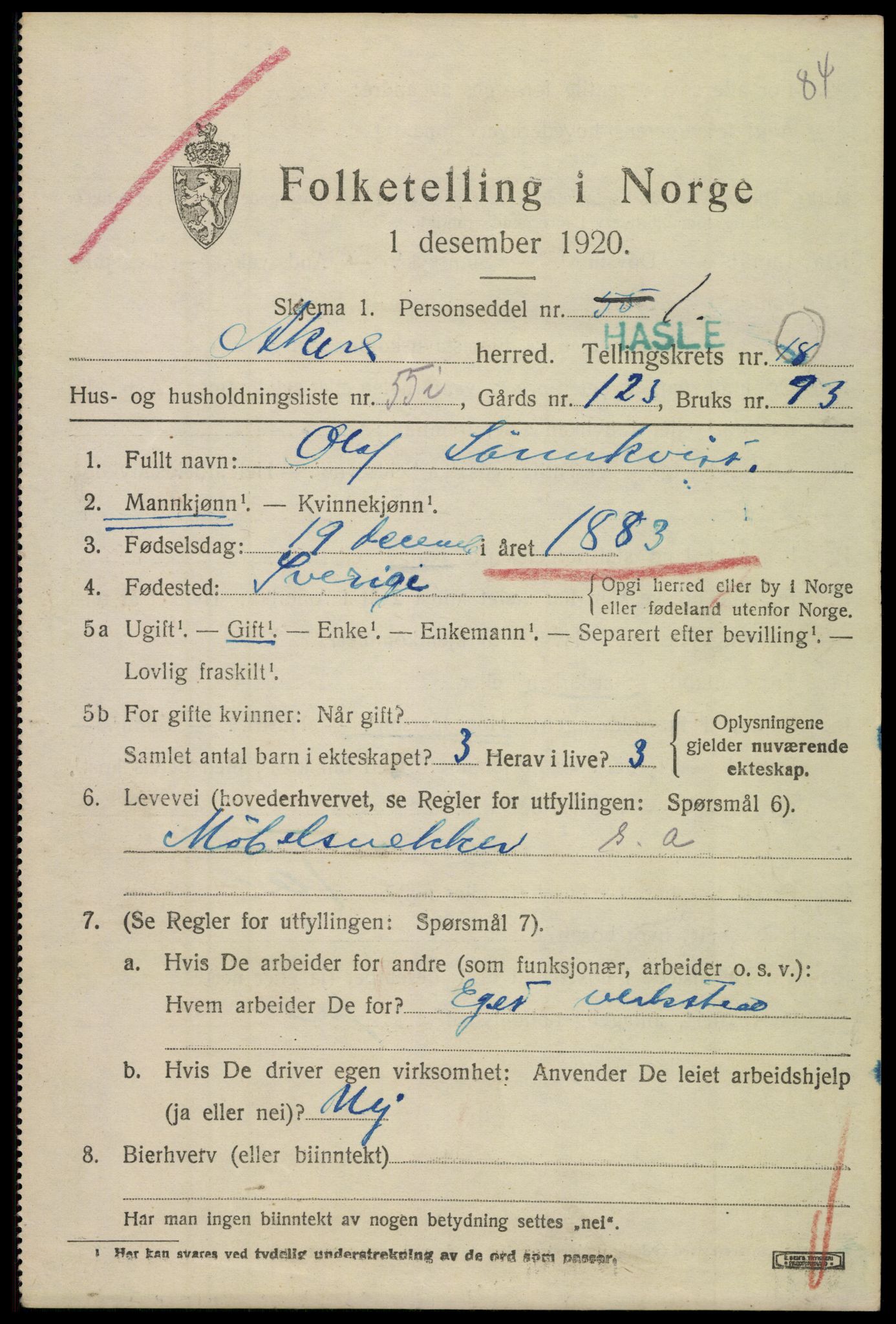 SAO, 1920 census for Aker, 1920, p. 110382