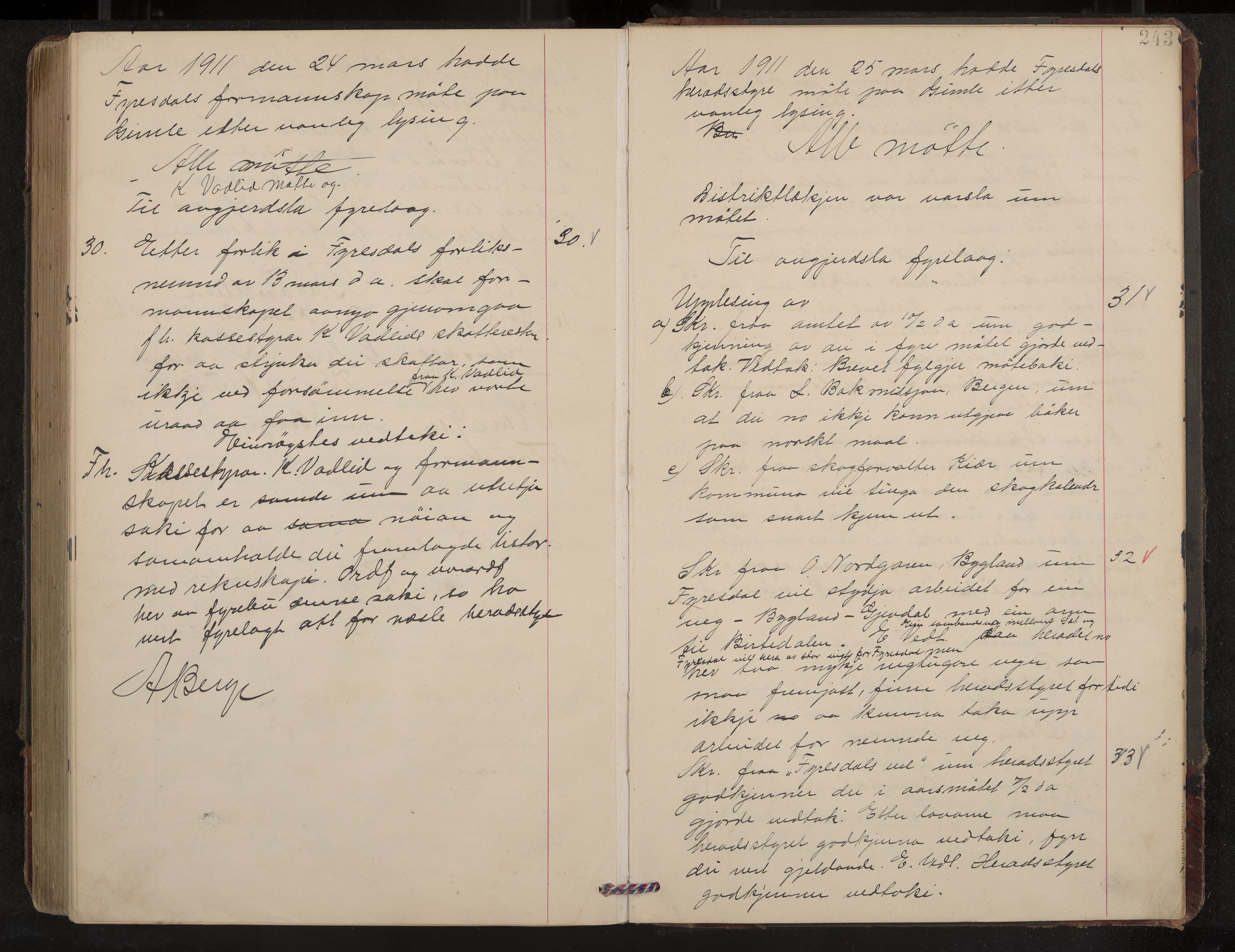 Fyresdal formannskap og sentraladministrasjon, IKAK/0831021-1/Aa/L0004: Møtebok, 1903-1911, p. 243