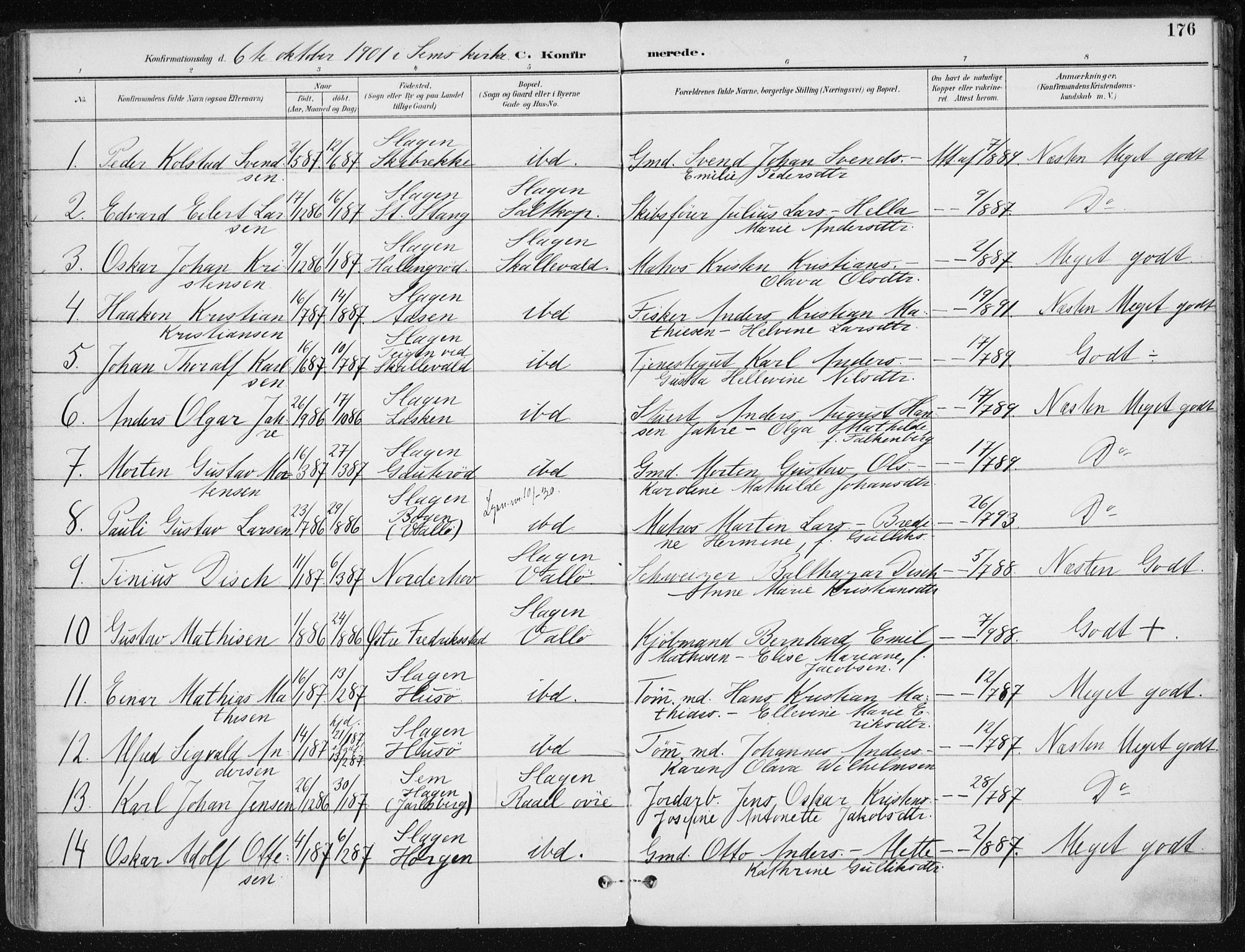 Sem kirkebøker, AV/SAKO-A-5/F/Fb/L0005: Parish register (official) no. II 5, 1892-1904, p. 176