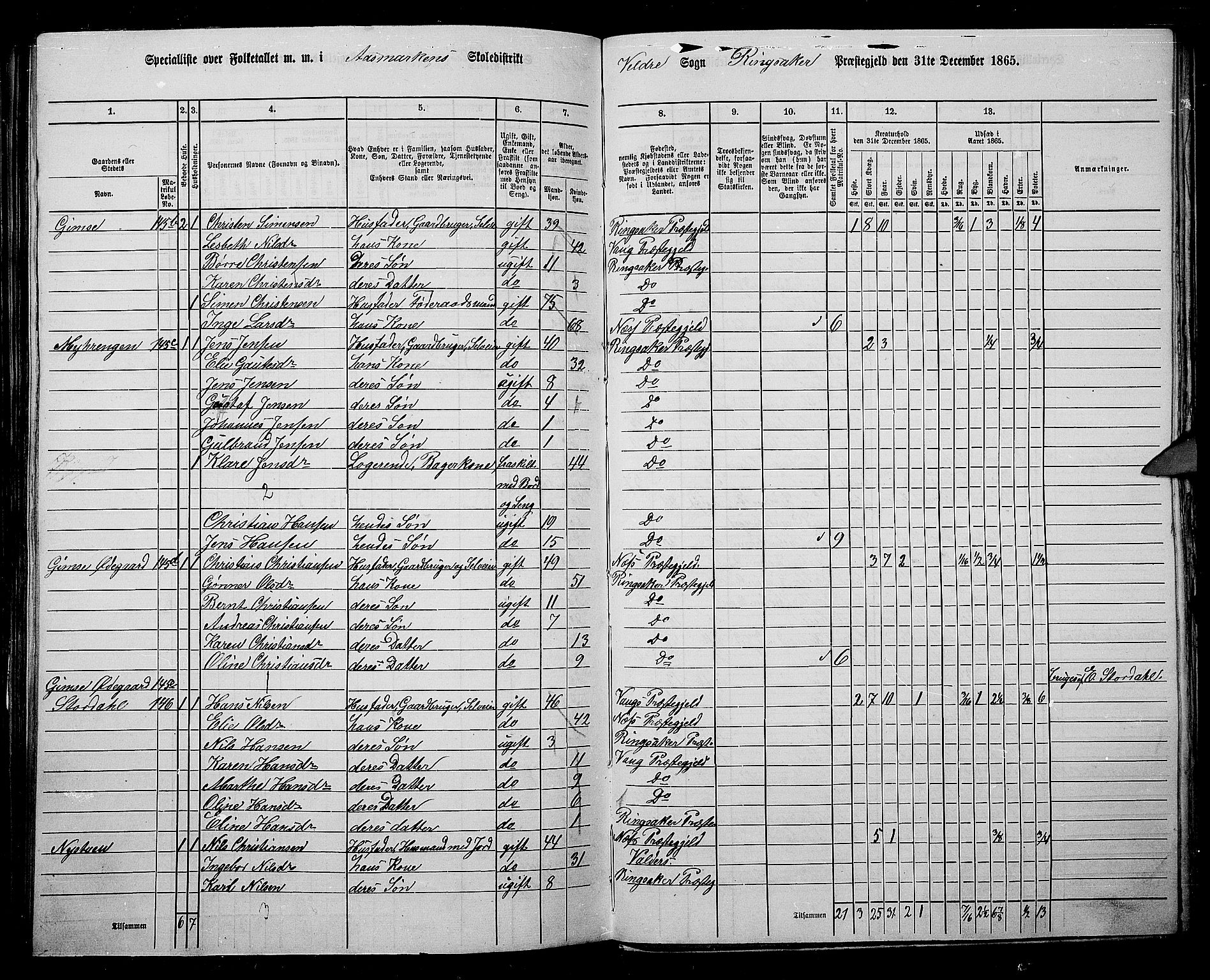 RA, 1865 census for Ringsaker, 1865, p. 212