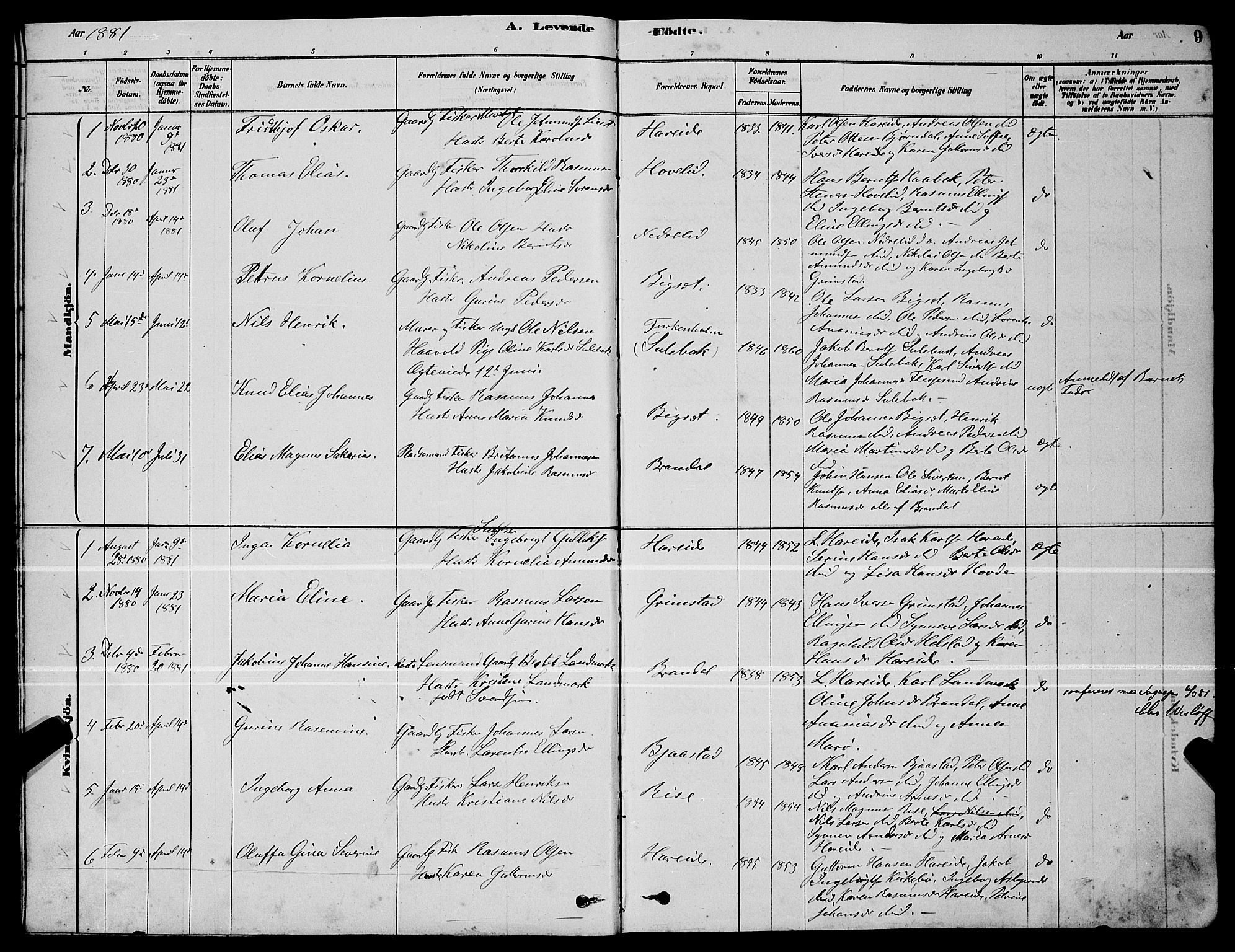 Ministerialprotokoller, klokkerbøker og fødselsregistre - Møre og Romsdal, AV/SAT-A-1454/510/L0125: Parish register (copy) no. 510C02, 1878-1900, p. 9