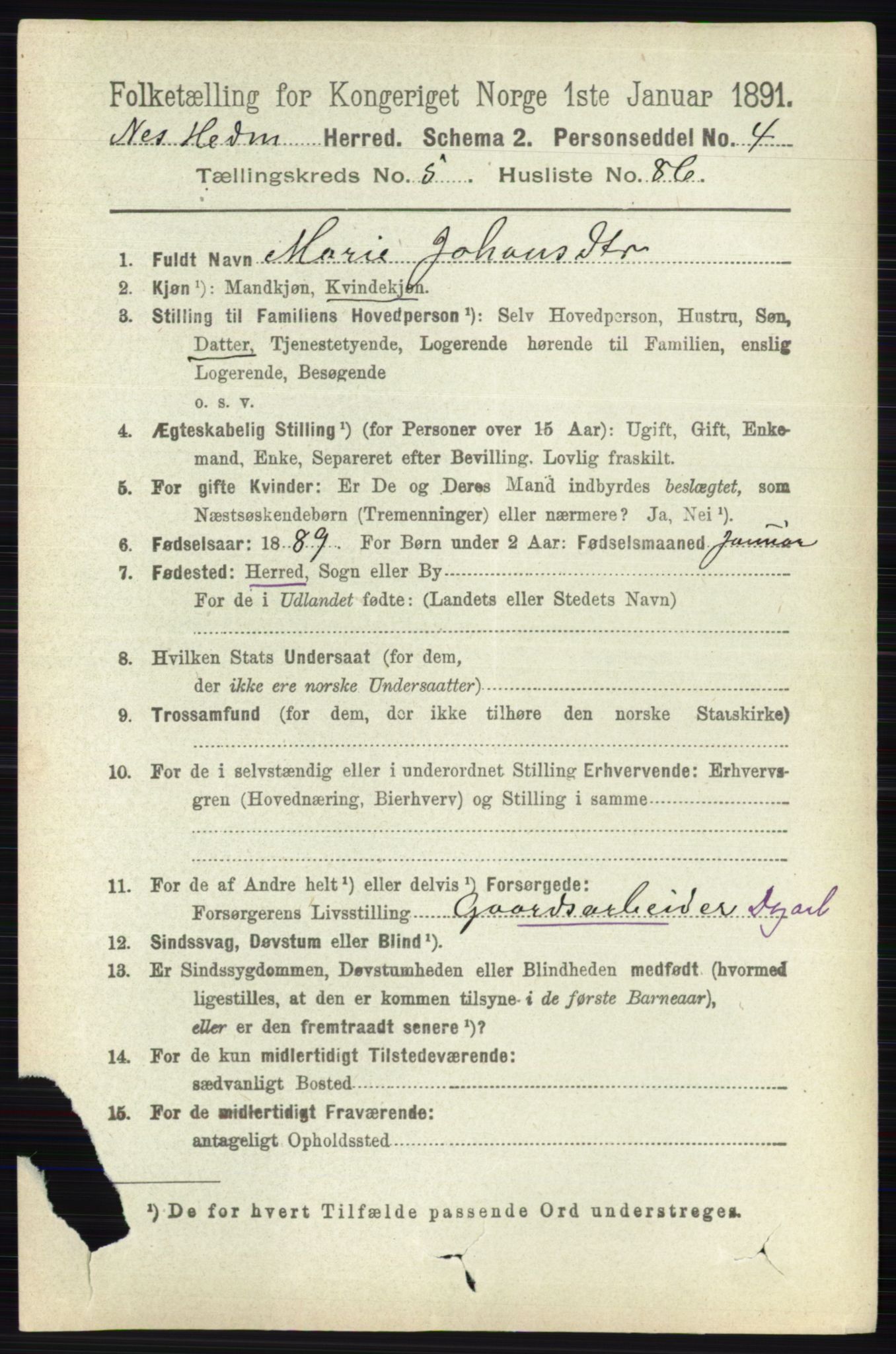 RA, 1891 census for 0411 Nes, 1891, p. 3165