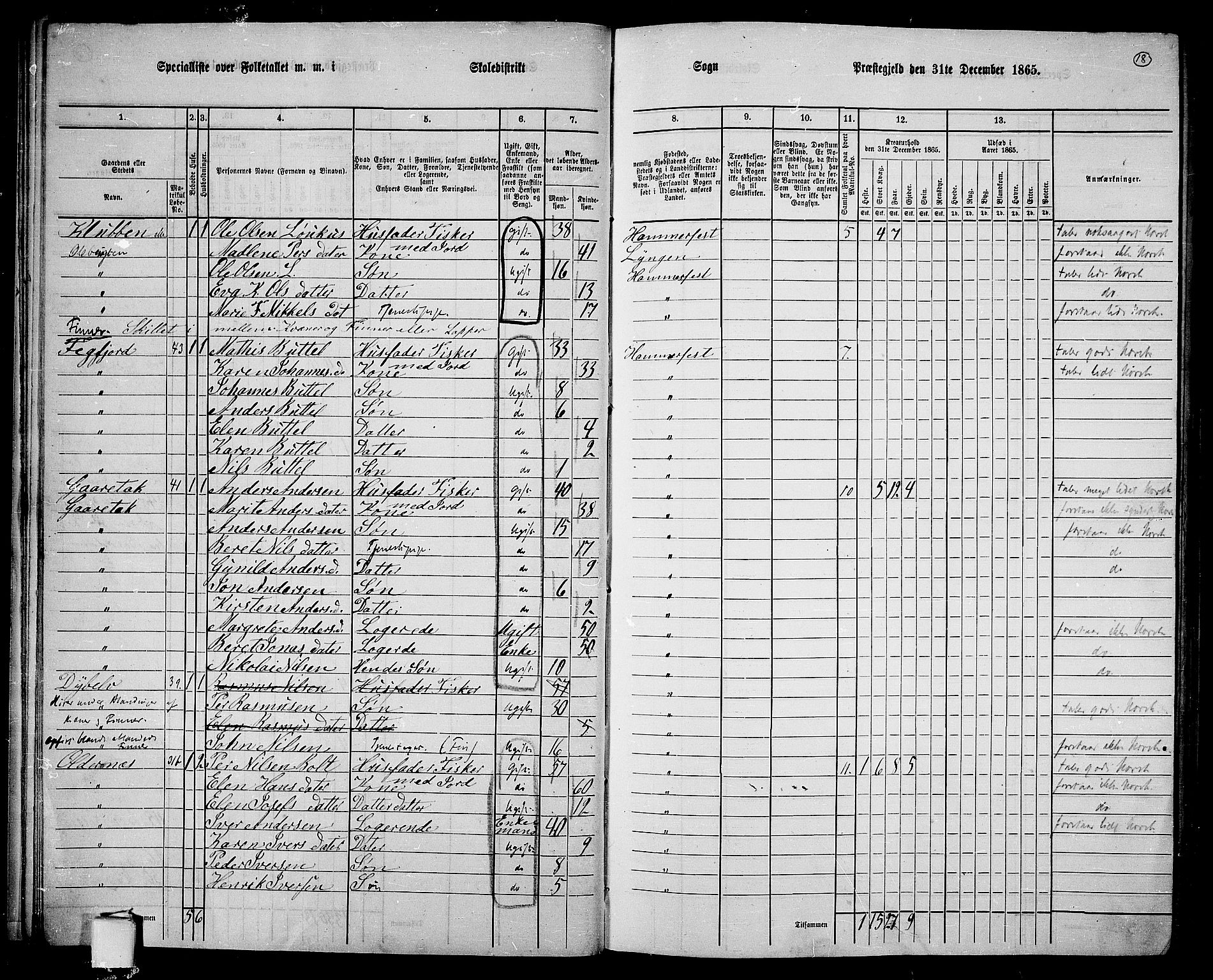RA, 1865 census for Hammerfest/Hammerfest, 1865, p. 17