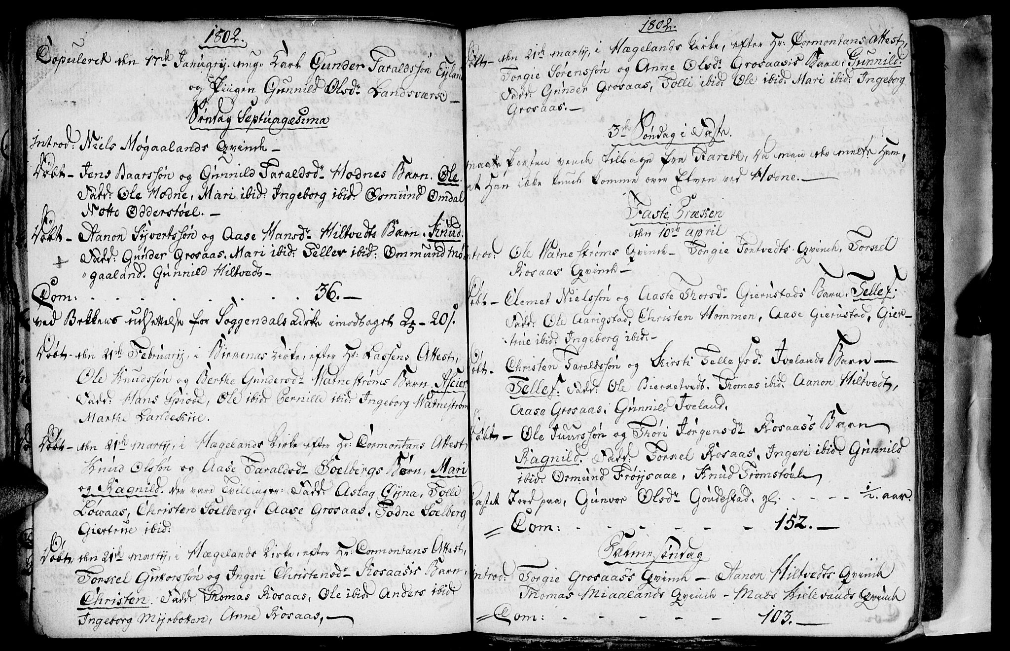 Evje sokneprestkontor, AV/SAK-1111-0008/F/Fa/Fac/L0002: Parish register (official) no. A 2, 1765-1816, p. 137