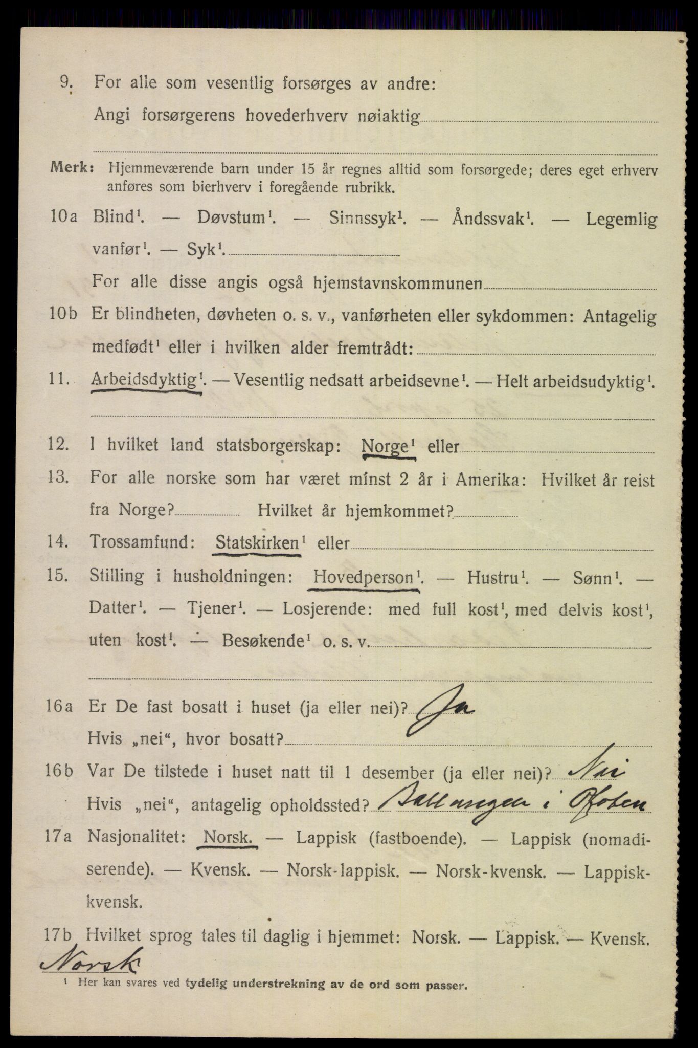 SAT, 1920 census for Tjeldsund, 1920, p. 501