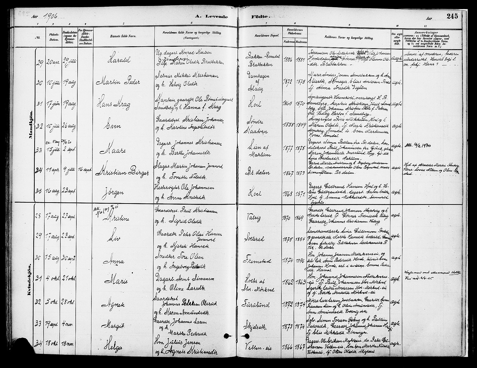 Vang prestekontor, Hedmark, AV/SAH-PREST-008/H/Ha/Haa/L0018A: Parish register (official) no. 18A, 1880-1906, p. 245